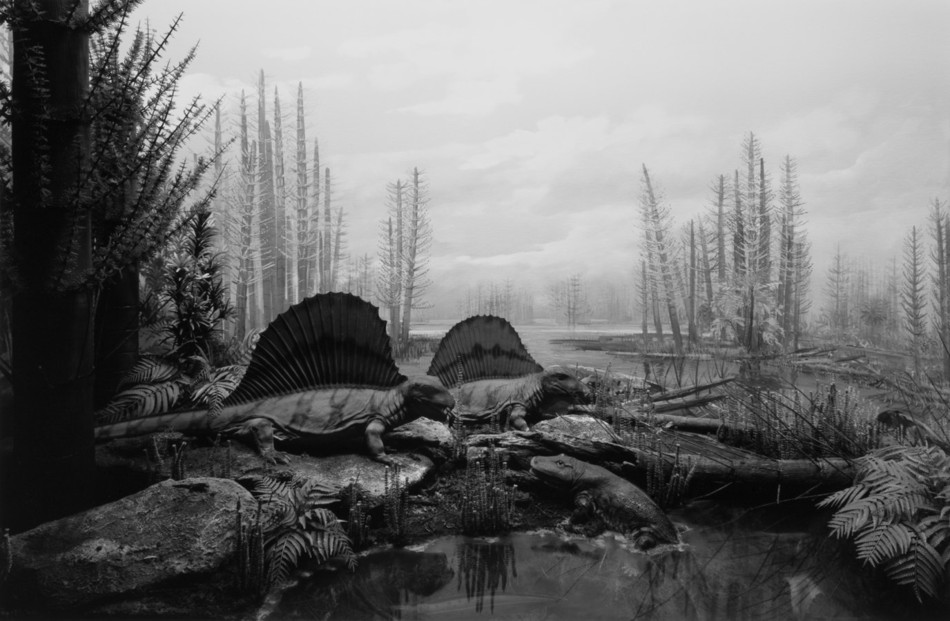 Black and white photograph of a prehistoric marshland scene