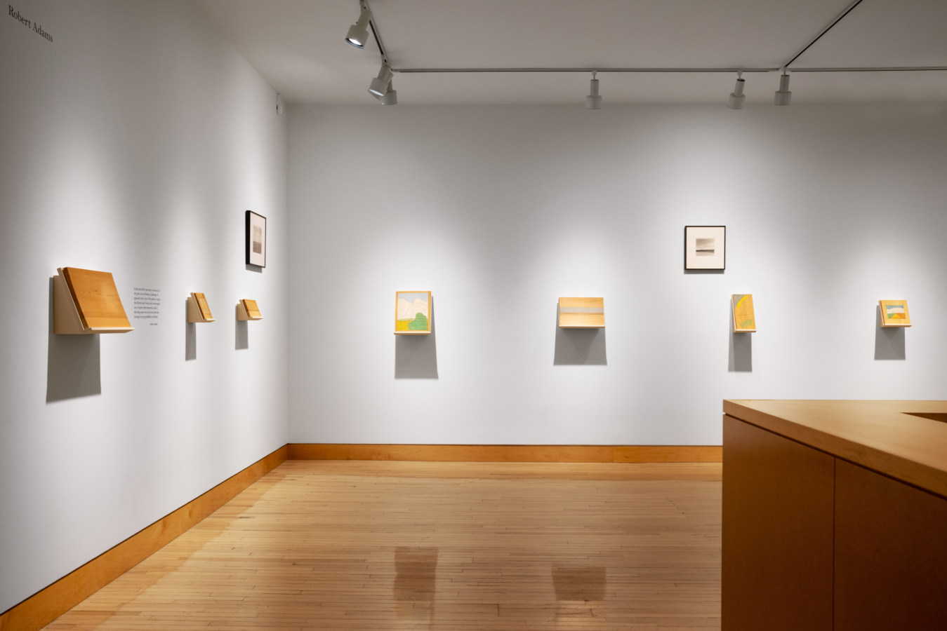 Color image of exhibition depicting painted woodblocks and black and white photographs on white gallery walls