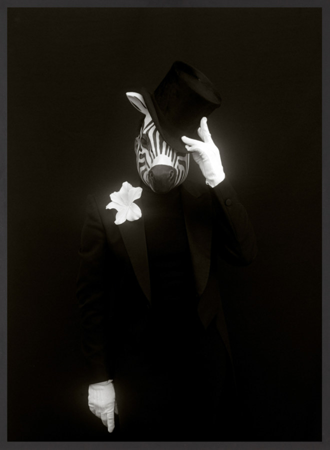 Framed black and white photograph of suited figure with white gloves and top hat wearing a mask depicting a zebra