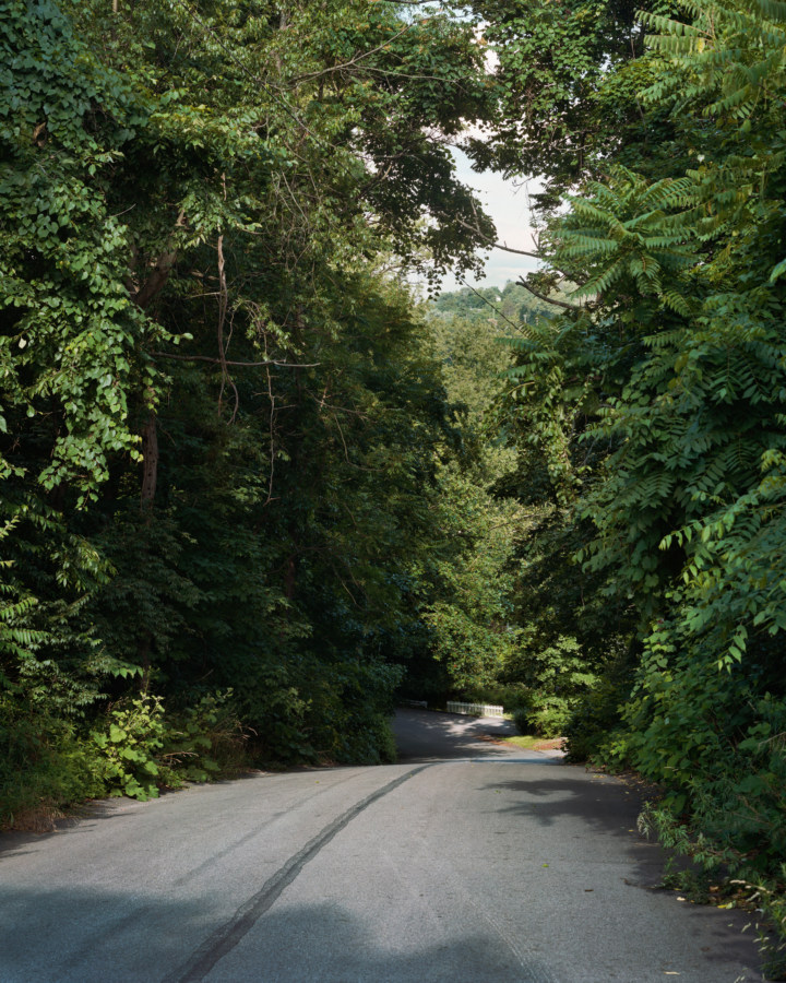 Color image of a road surrounded by verdant greenery