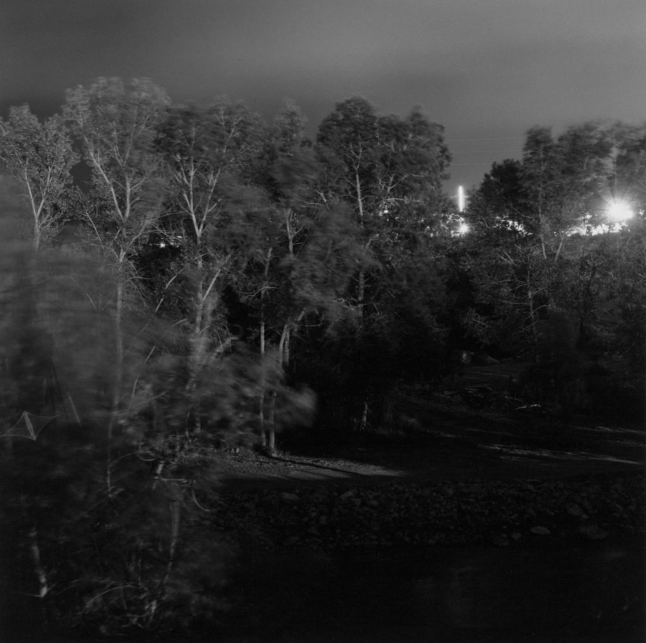 Black and white photograph of trees at night, moving in the wind, with city lights in the far distance.