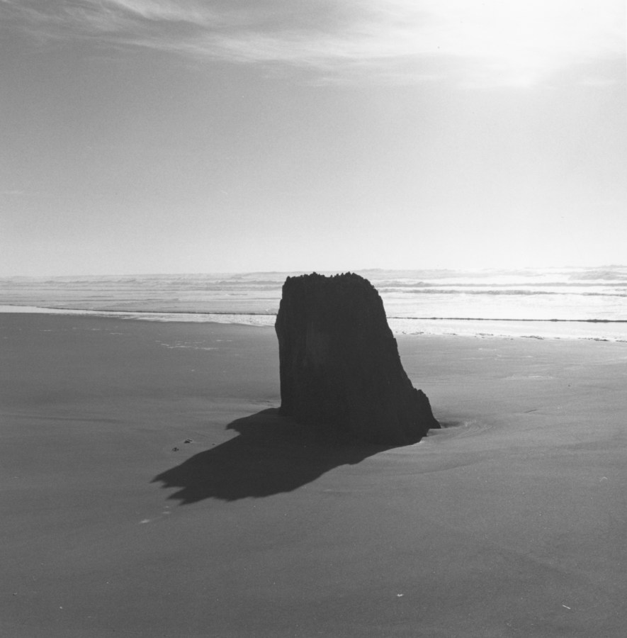Black and white photograph of tree stump located on beach shore