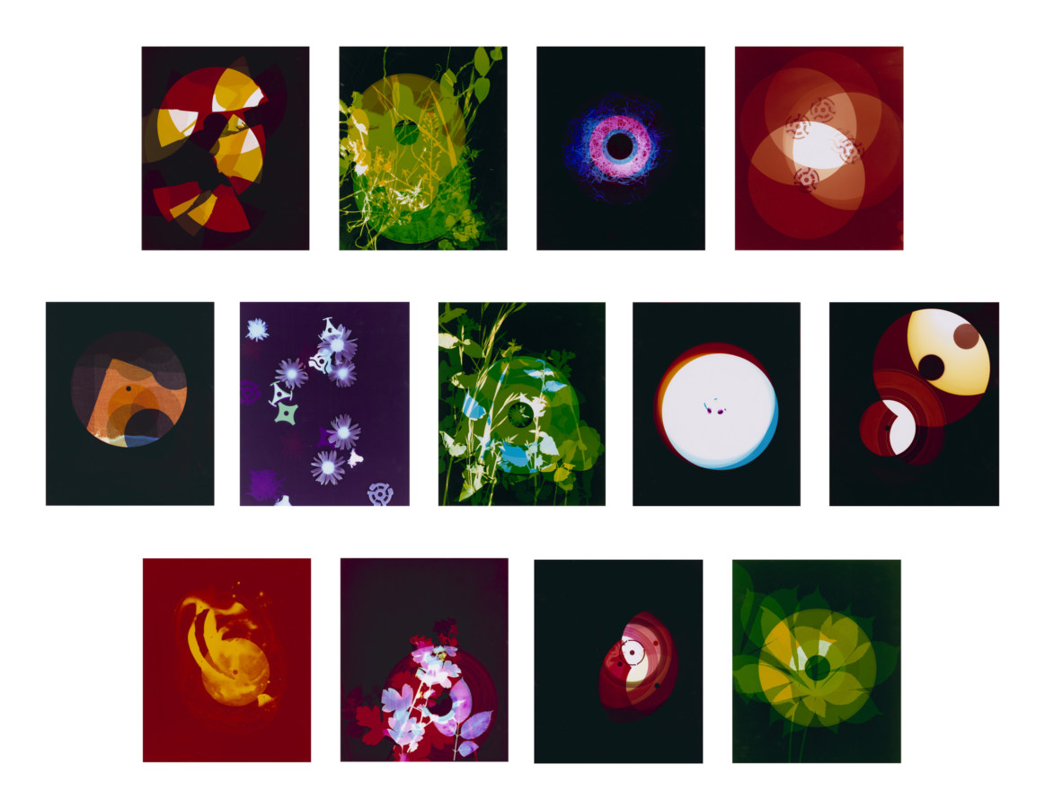 Color suite of thirteen color photograms depicting records and organic matter