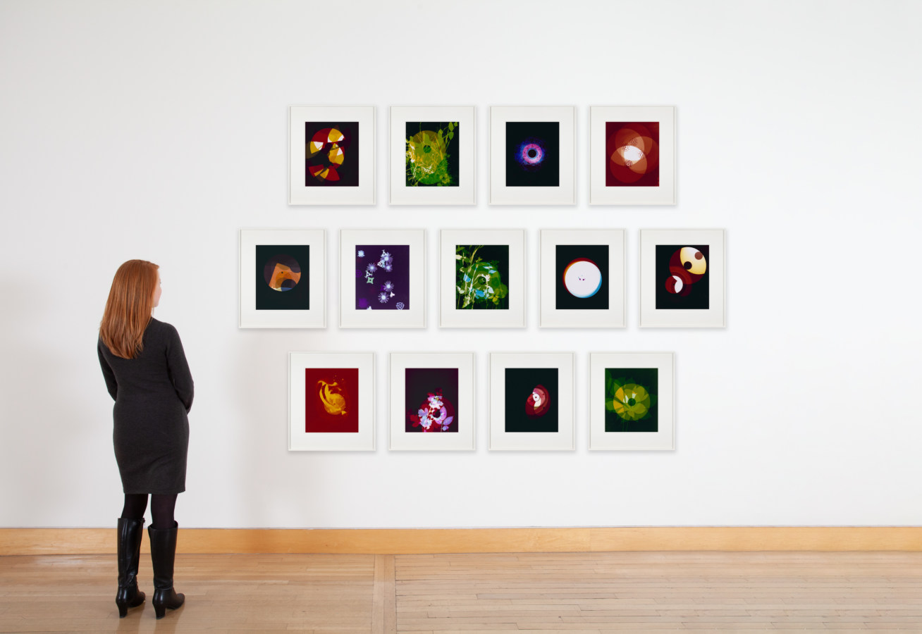 Color photo of woman looking at suite of thirteen unique photograms on white gallery wall