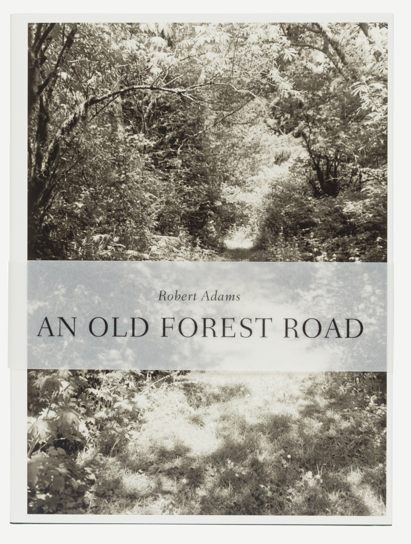Robert Adams: An Old Forest Road | Fraenkel Gallery