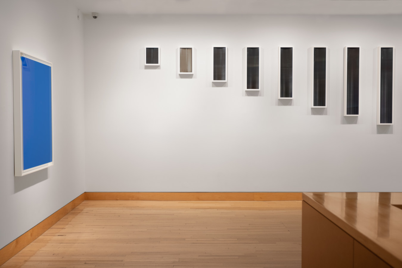 Color image of differently sized photograms on white gallery walls