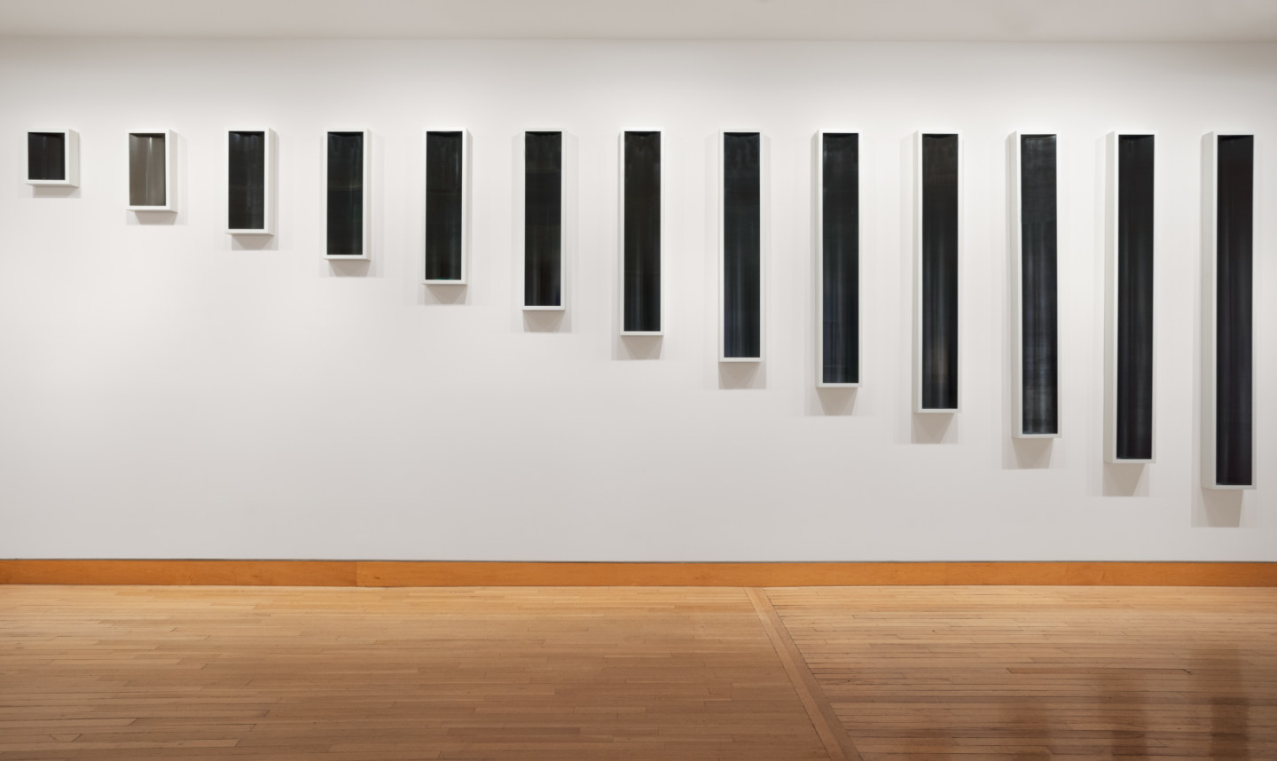 Color image of suite of thirteen vertical photograms on white gallery wall