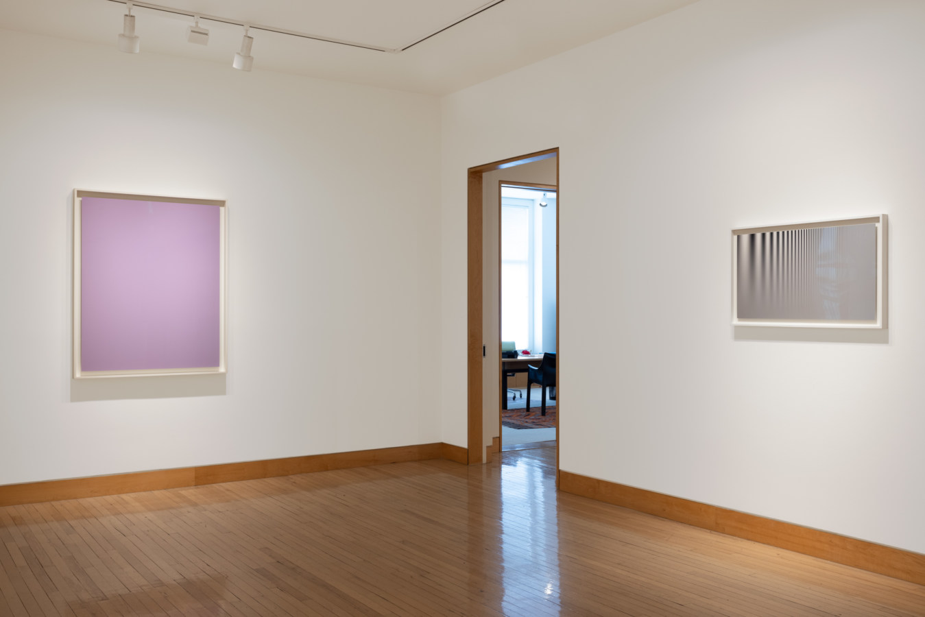 Color image of differently sized framed photograms on white gallery walls