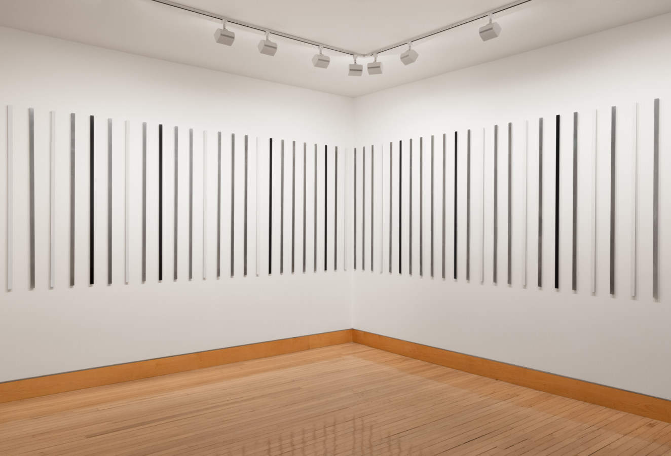Color image of suite of thin vertical photograms on white gallery walls