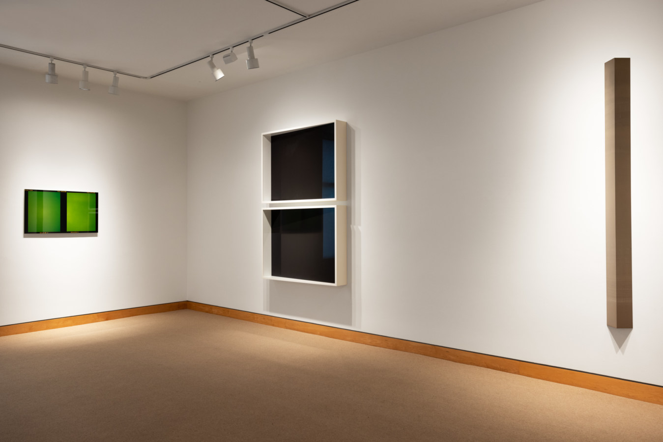 Color image of differently sized photograms on white gallery walls