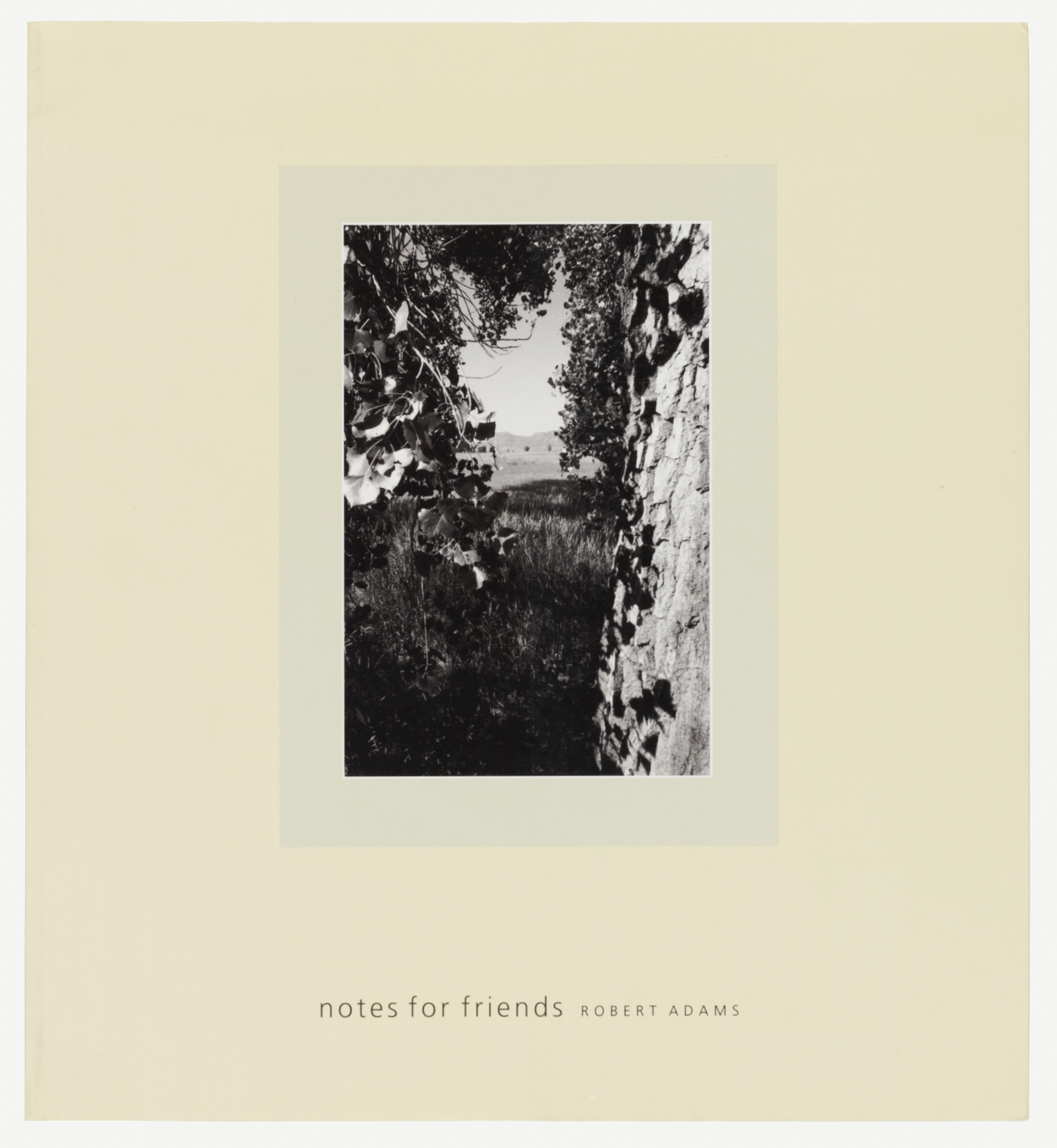 Notes-for-Friends-Thumbnail-