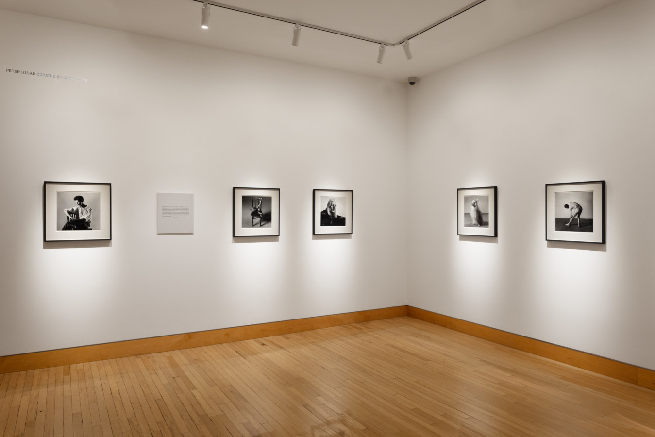 Color image of gallery with black and white photographs framed in black on white walls