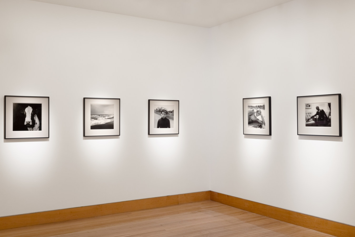 Color image of gallery with black and white photographs framed in black on white walls