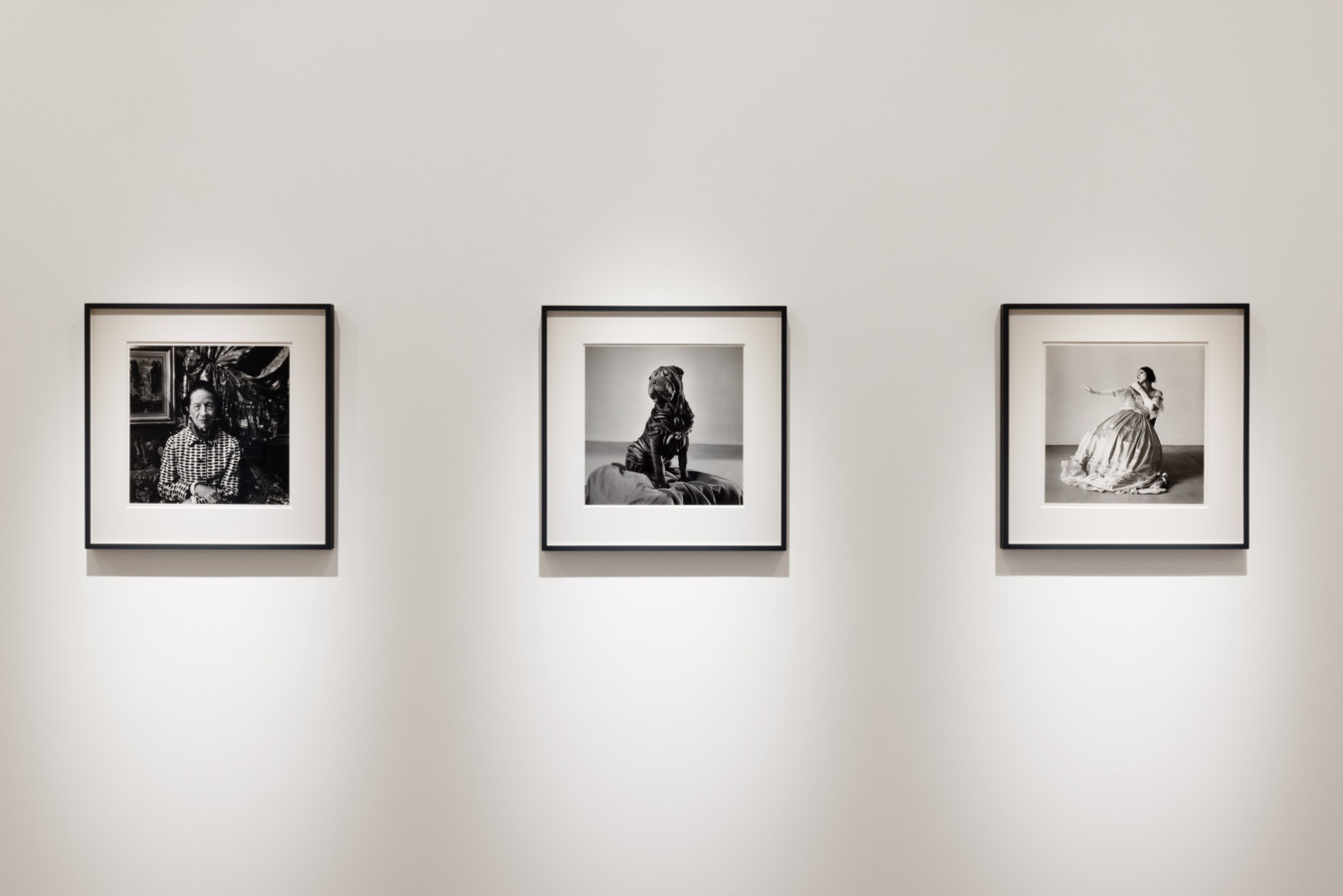 Color image of black and white photographs framed in black on white walls