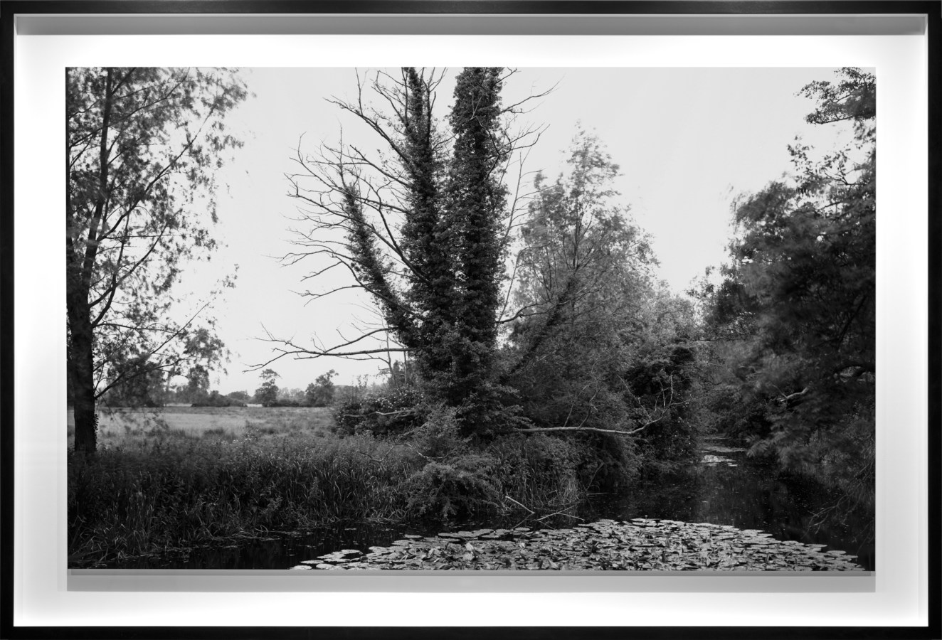 Black and white photograph of a river and trees along the horizon framed in black