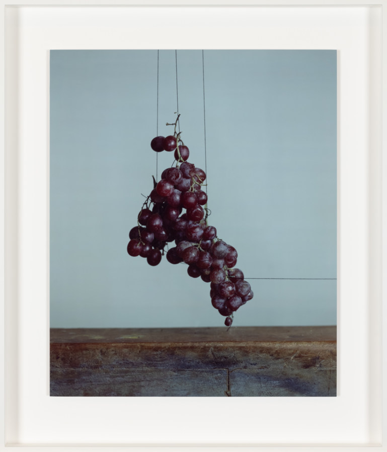 Color photograph of red grapes suspended by black thread framed in white