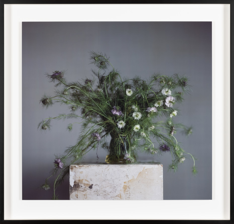 Color photograph of flowers in a glass vase on concrete plinth famed in black
