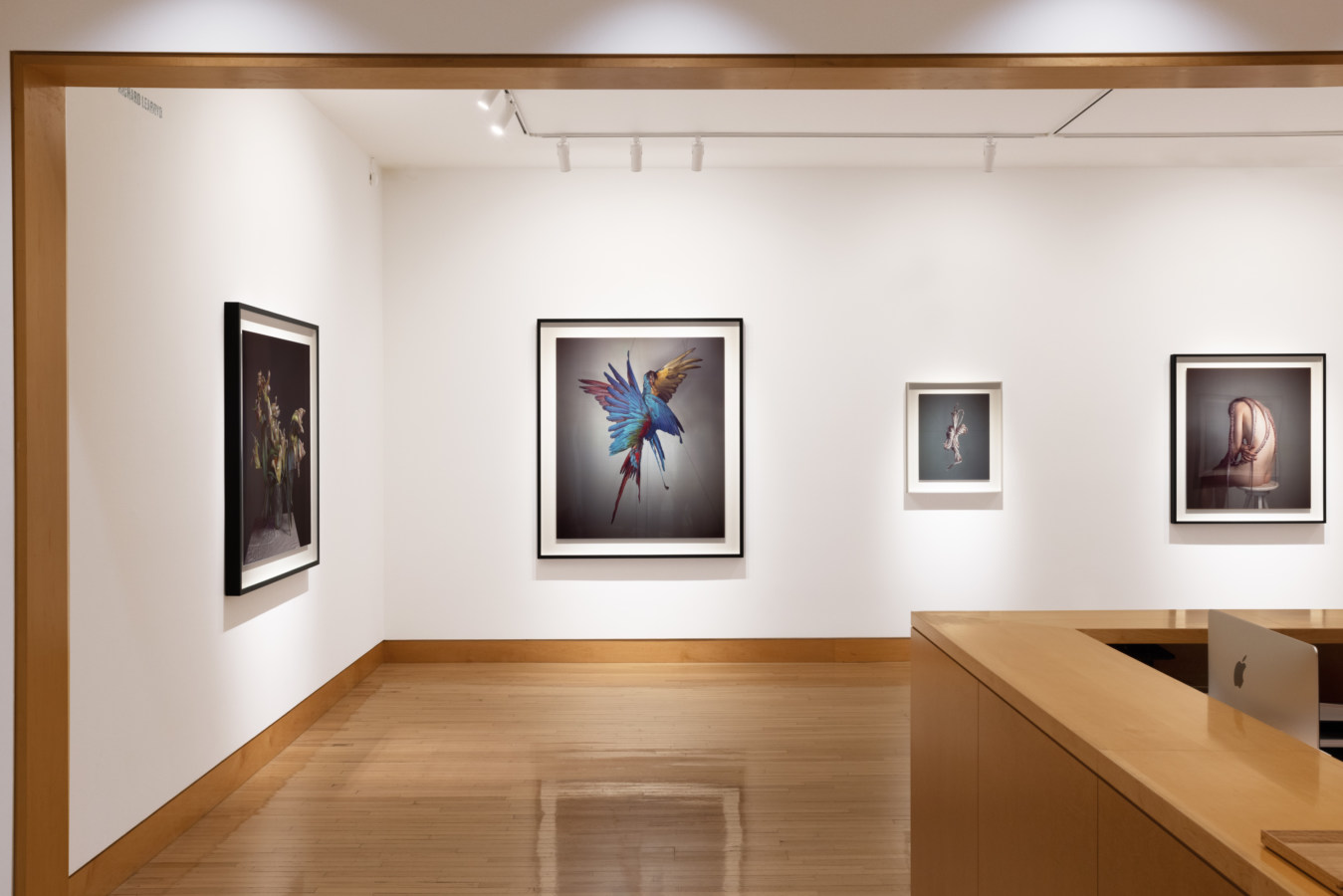 Color image of gallery entryway exhibiting framed color photographs on white walls
