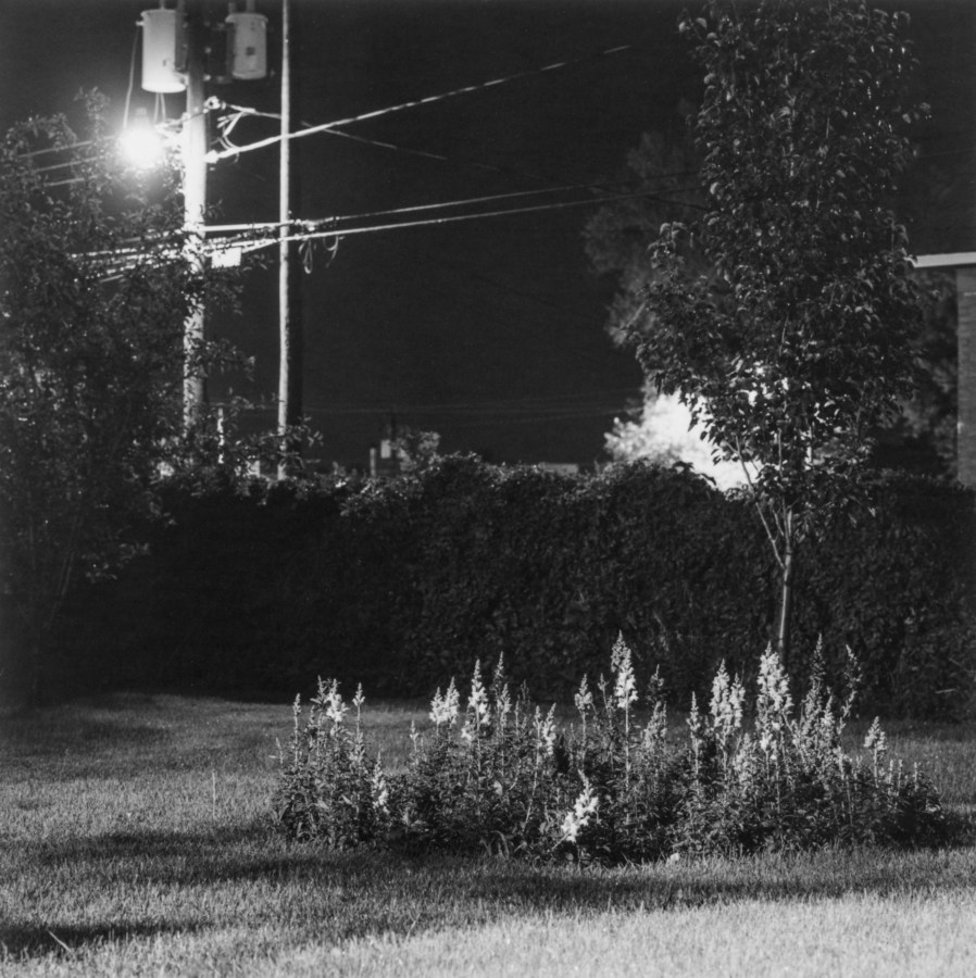 Black and white photograph of lawn with power lines and streetlight at night