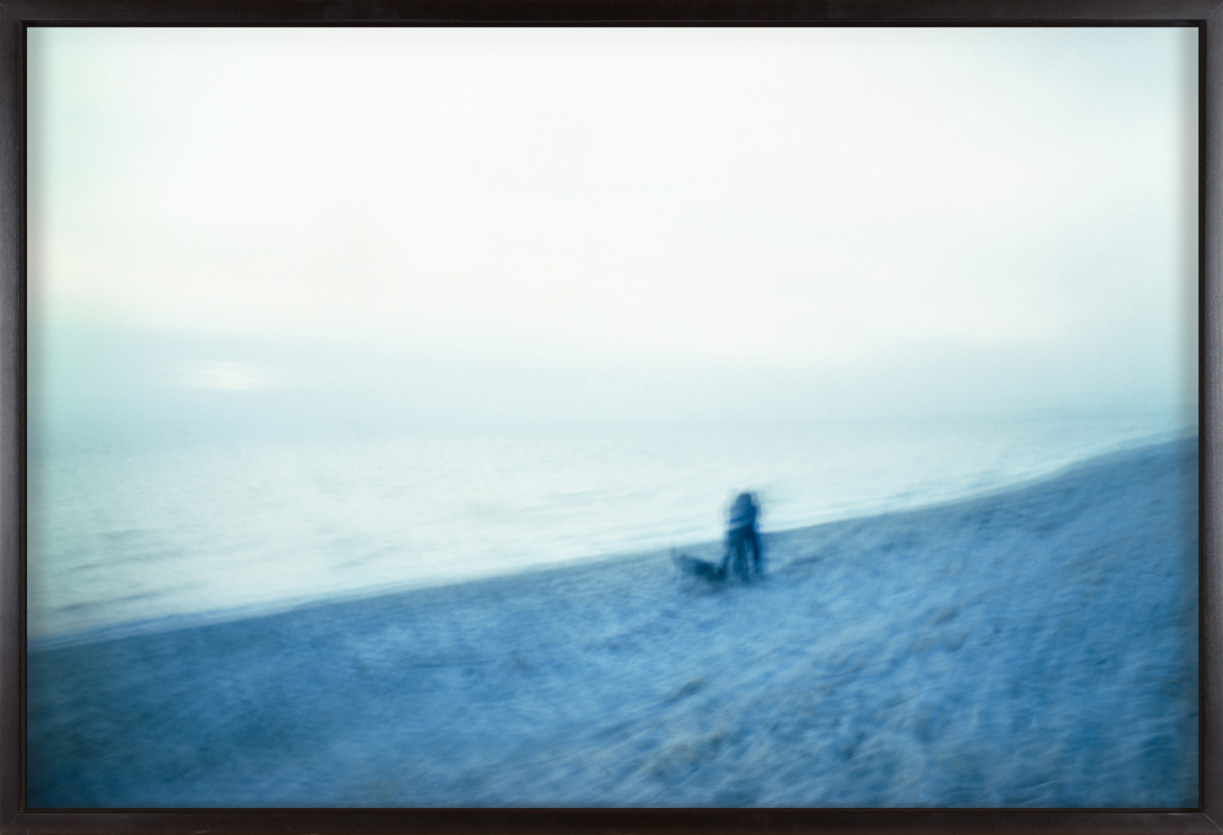 Color photograph of a couple and their dog walking along the beach