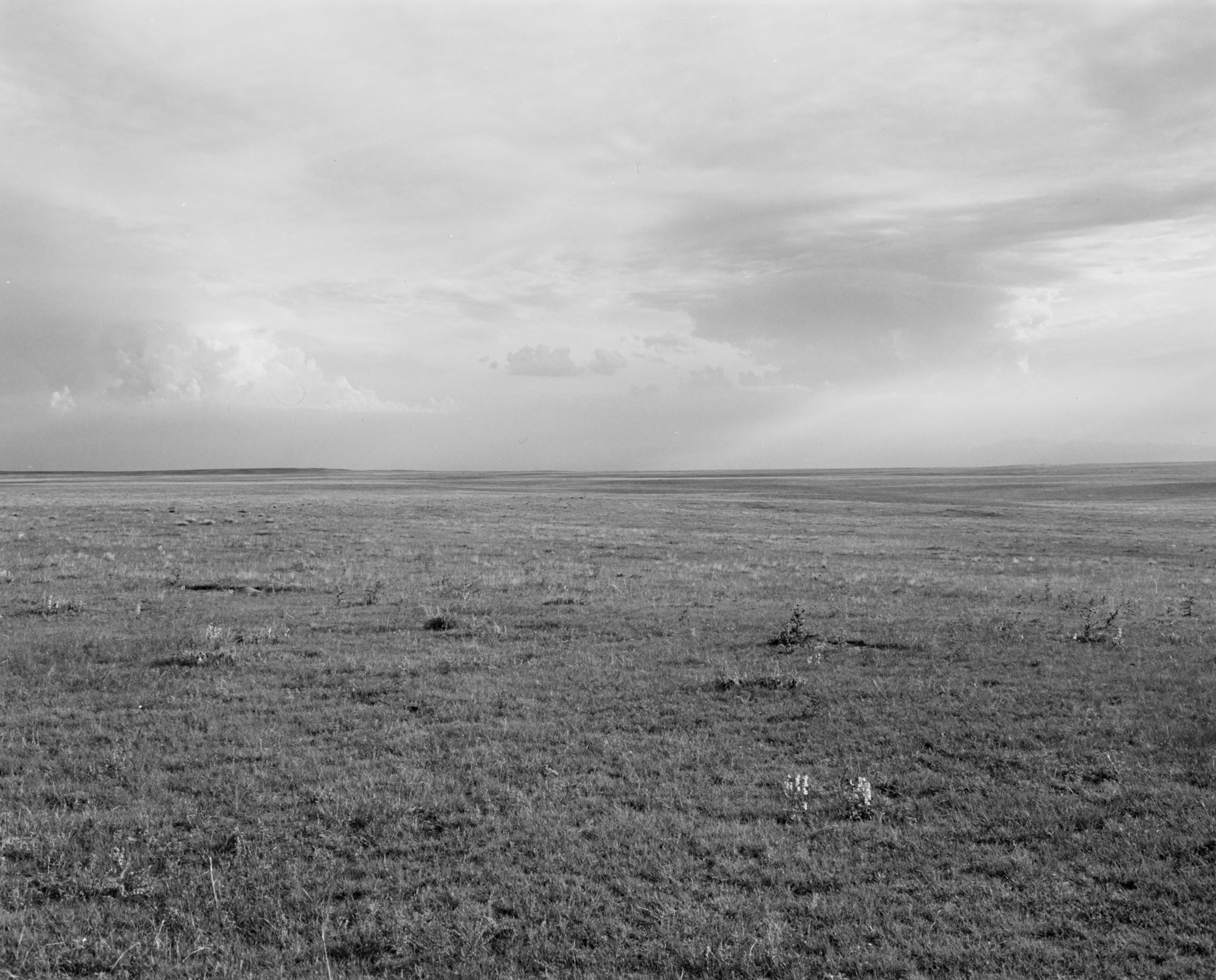 Black and white photograph of an empty grassy plain