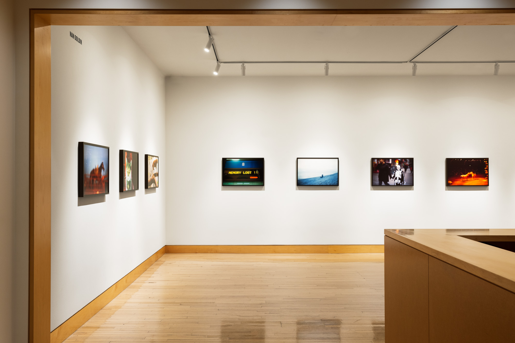 Color image of gallery entryway exhibiting framed color photographs on white gallery walls