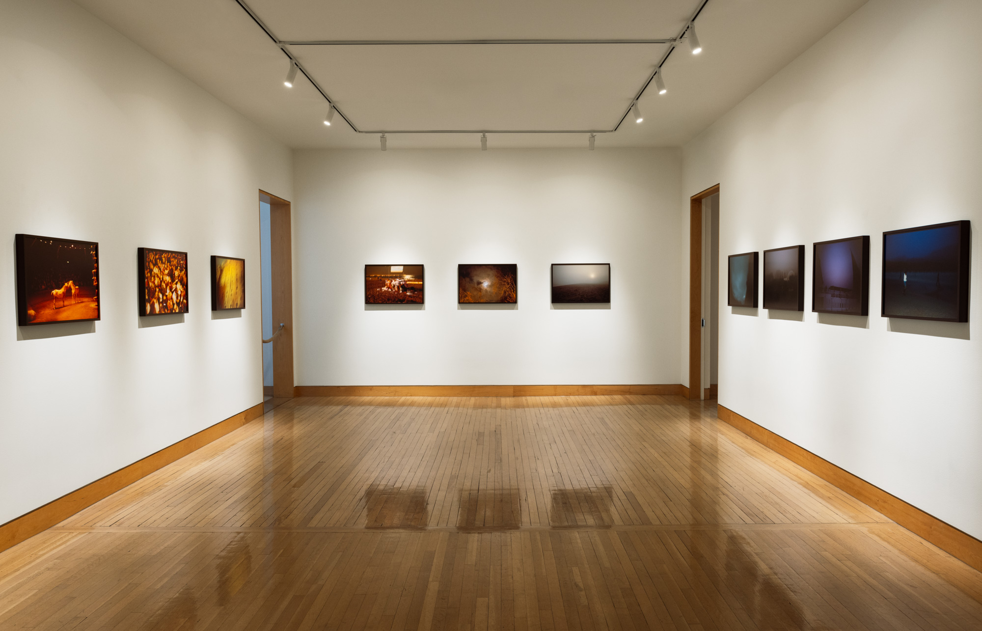Color image of gallery exhibiting framed color photographs on white gallery walls