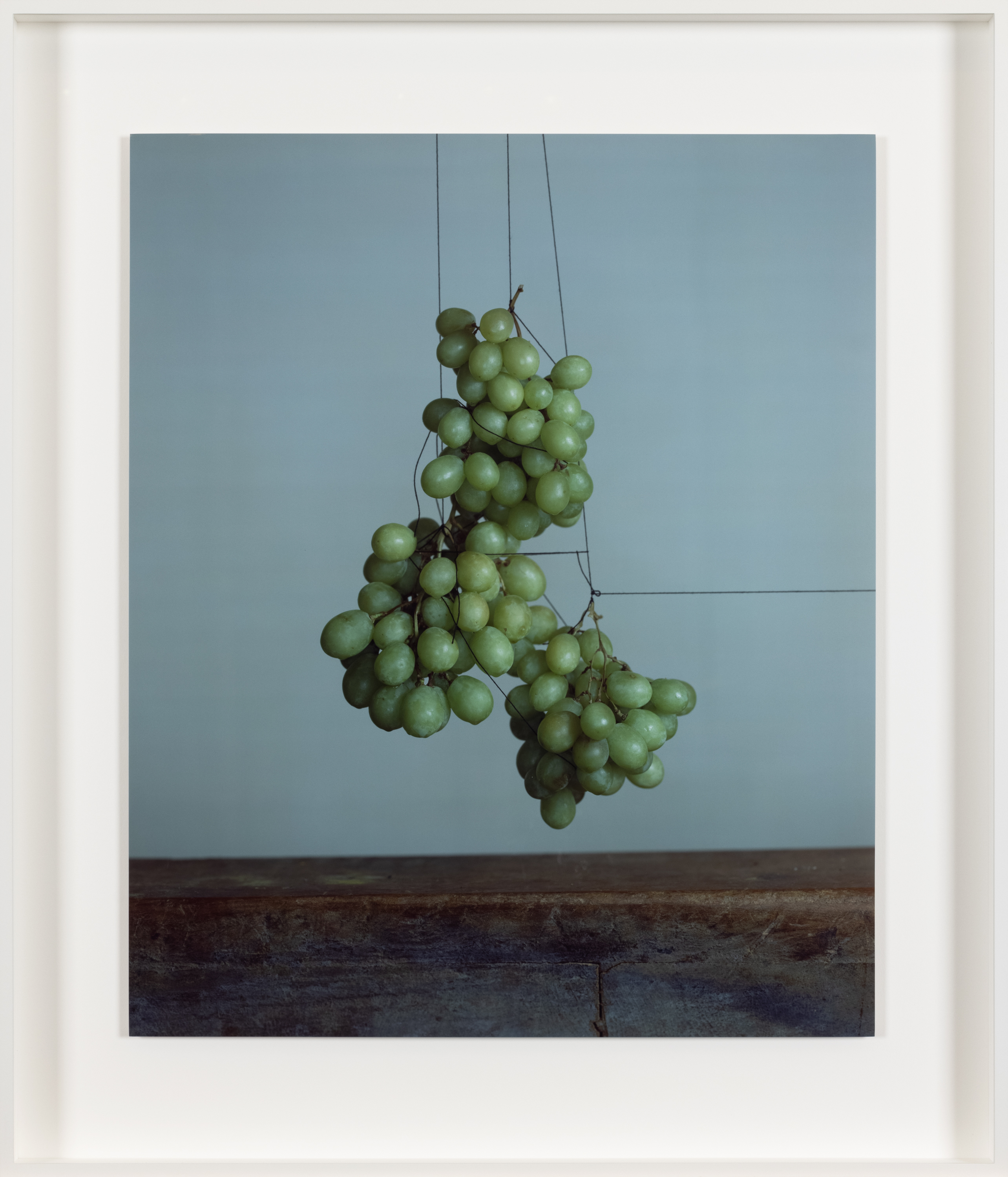 Color photograph of green grapes suspended with black thread above wooden plinth framed in white