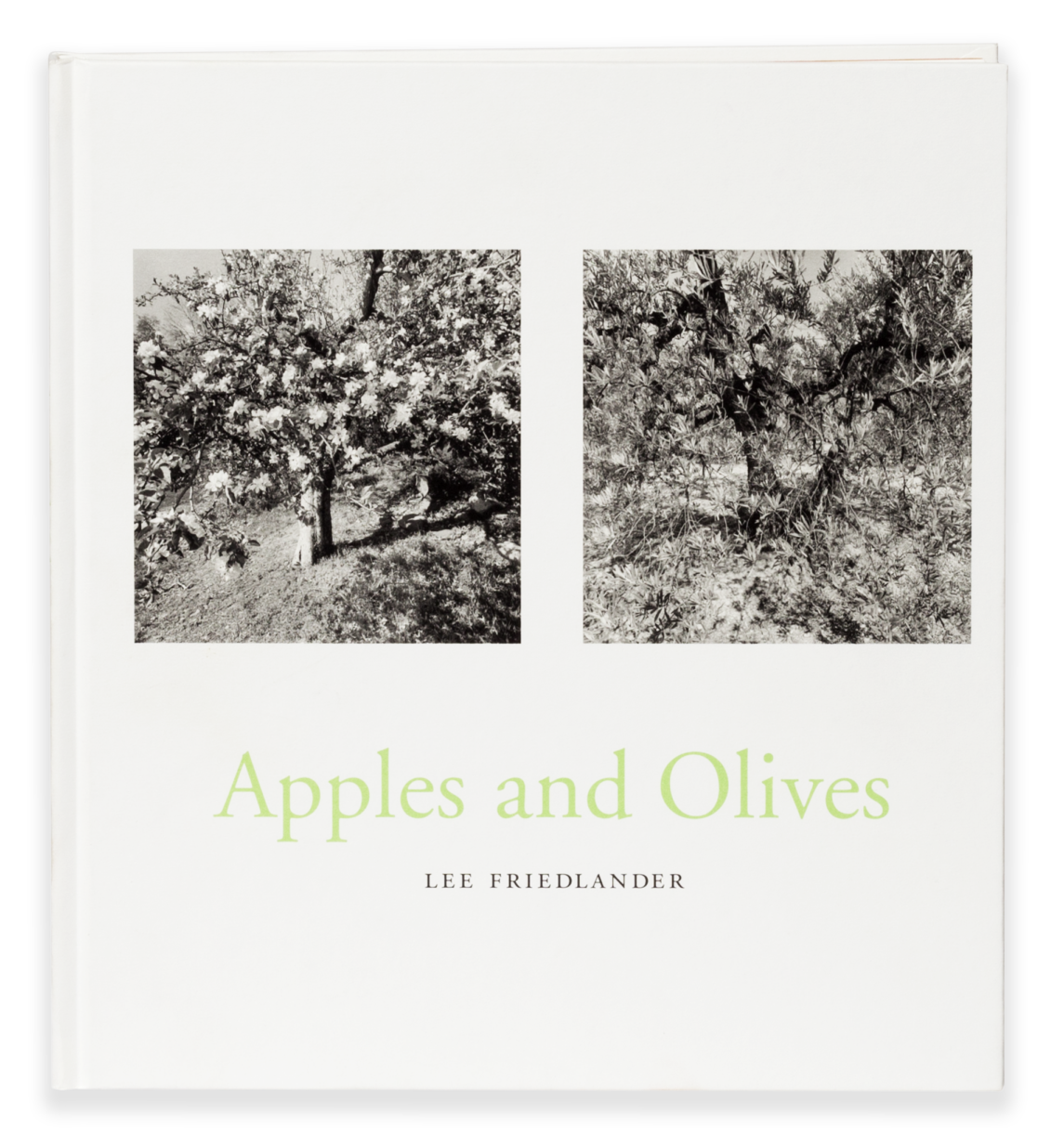Lee Friedlander 作品集 Friedlander-Apples-and-Olives-