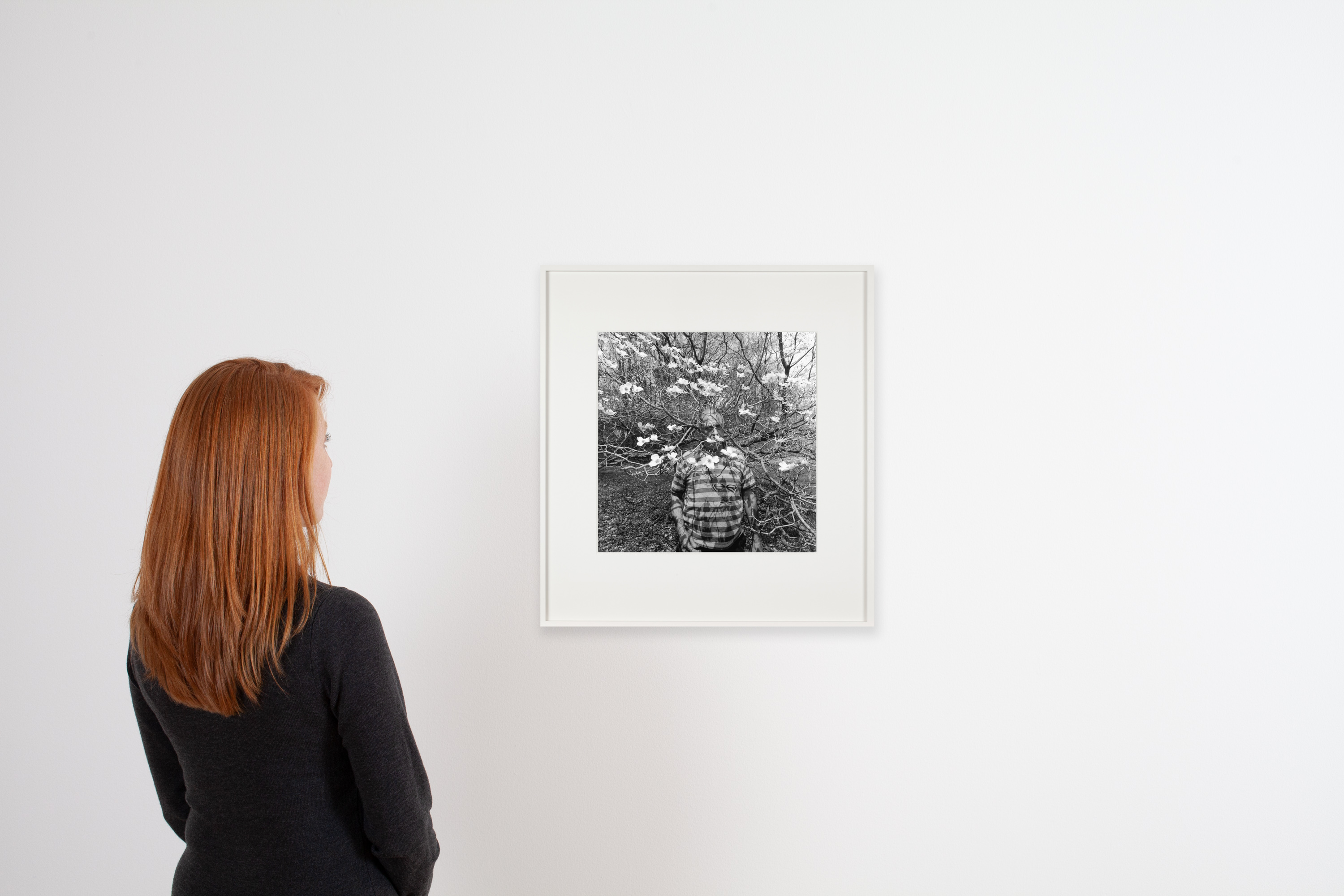 Black and white photograph of a figure standing within a blossomed tree framed in white on a white gallery wall