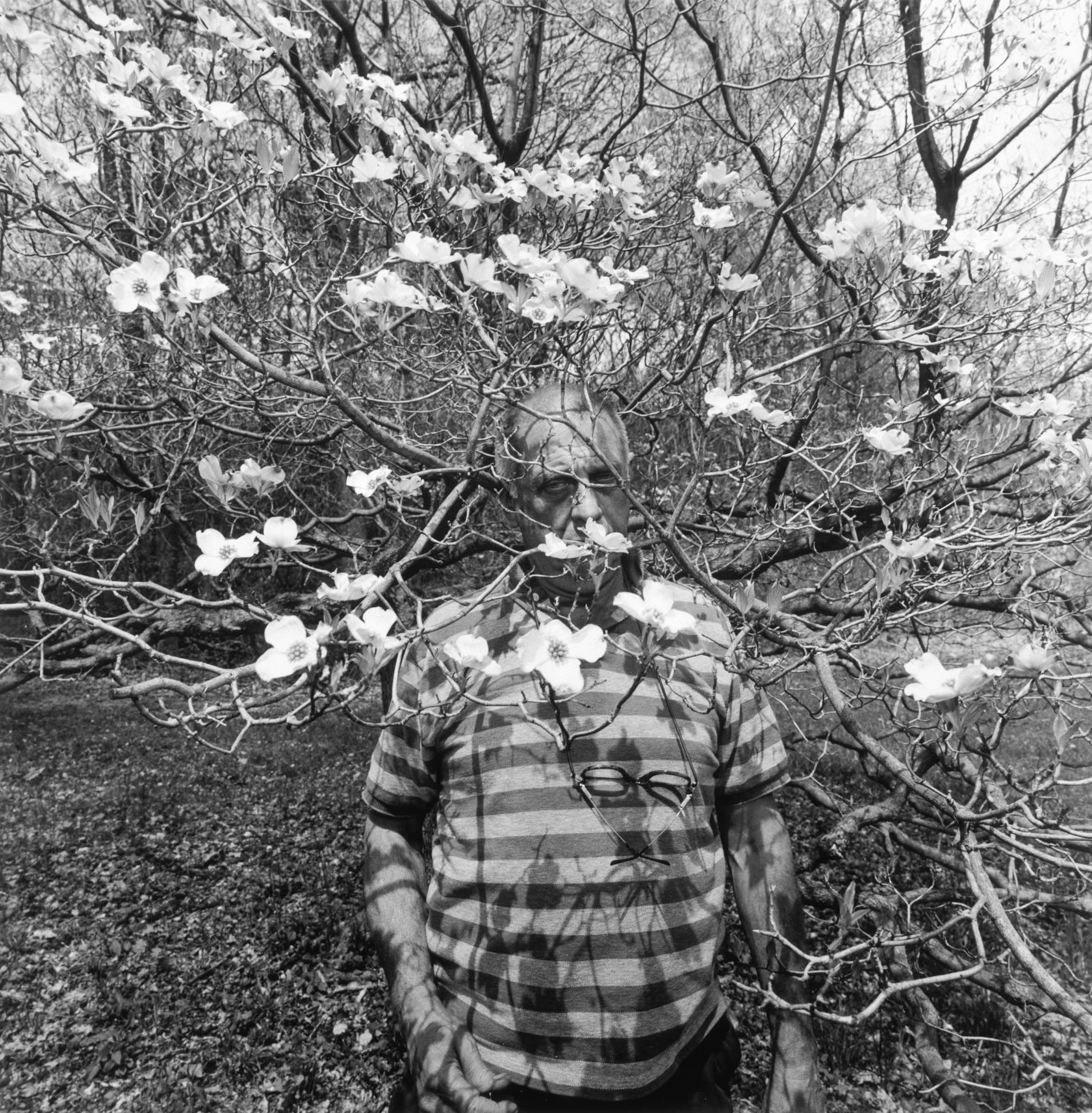 Black and white photograph of a figure standing within a blossomed tree