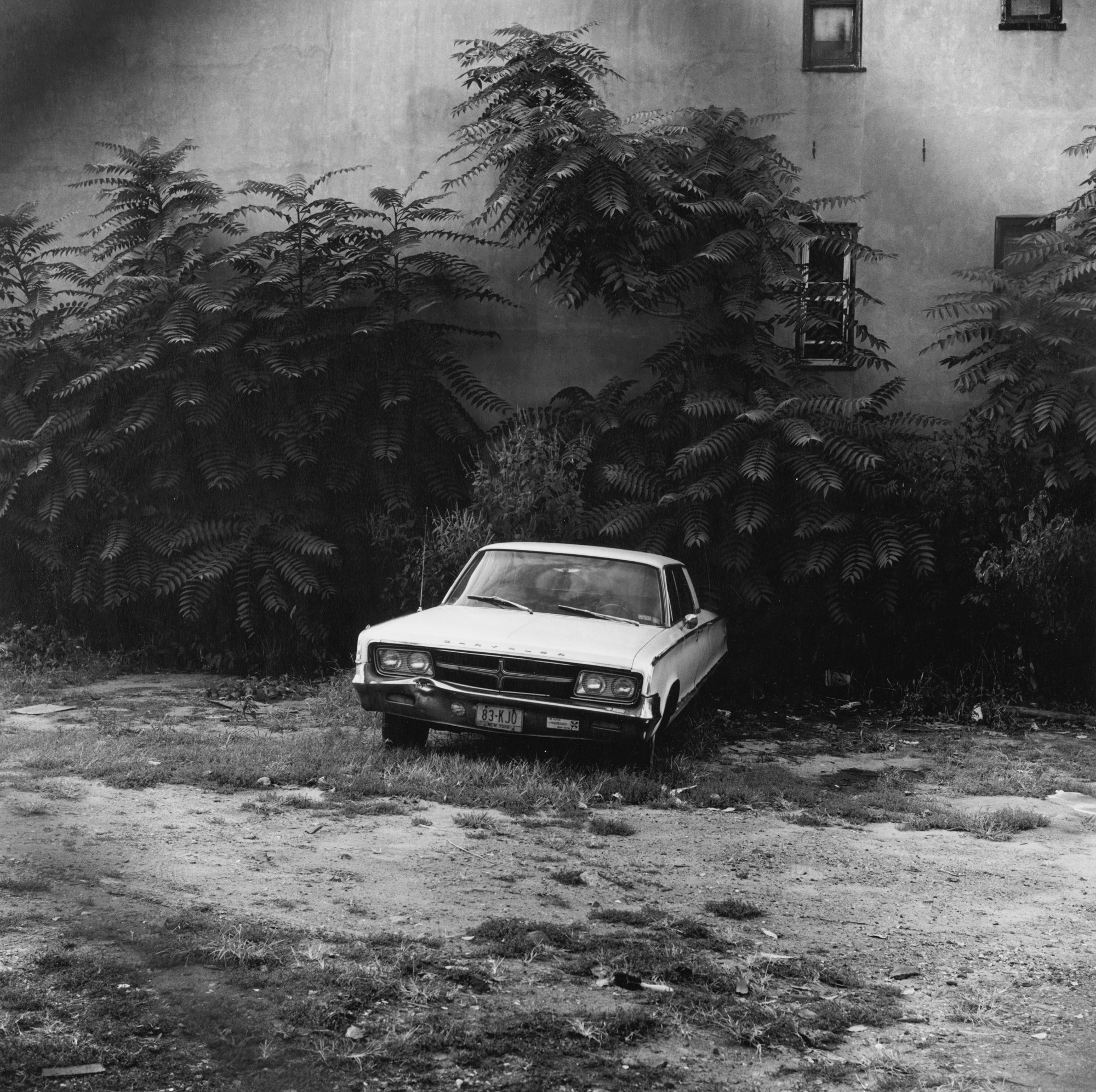 Black and white photograph of an abandoned car in a lot with trees and shrubs next to apartment building