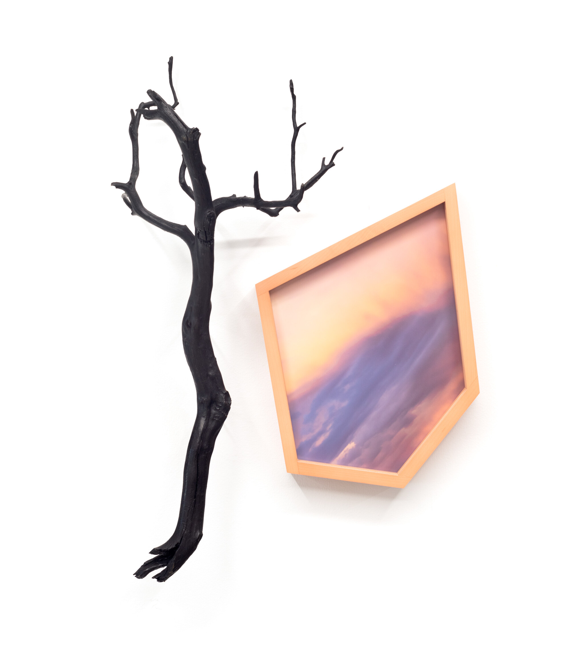 Color image of a mixed media work with bronzed branch and custom framed color photograph depicting a colorful sky