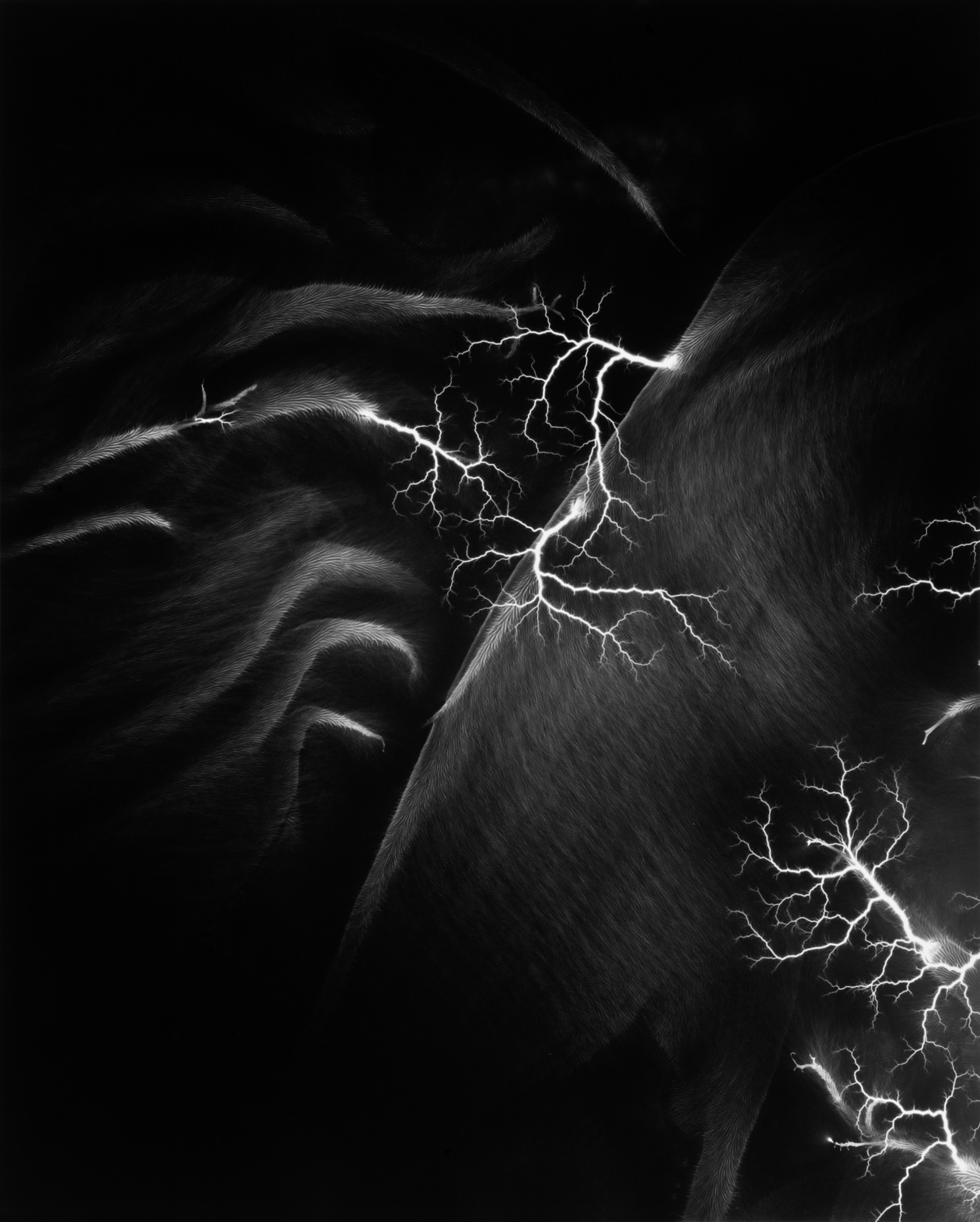 Black and white photograph of lighting striking against black background