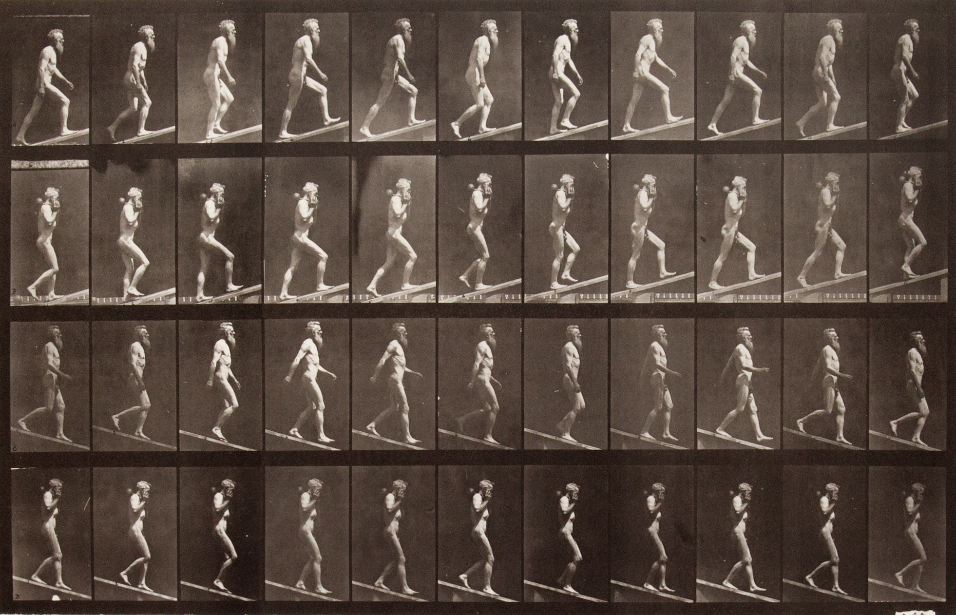 Sepia toned photograph with a grid of 44 panels showing a nude man walking on an incline. 12 panels show ascending motion; 12 show ascending motion carrying a dumbbell; 12 show descending motion; 12 show descending motion with a dumbbell.