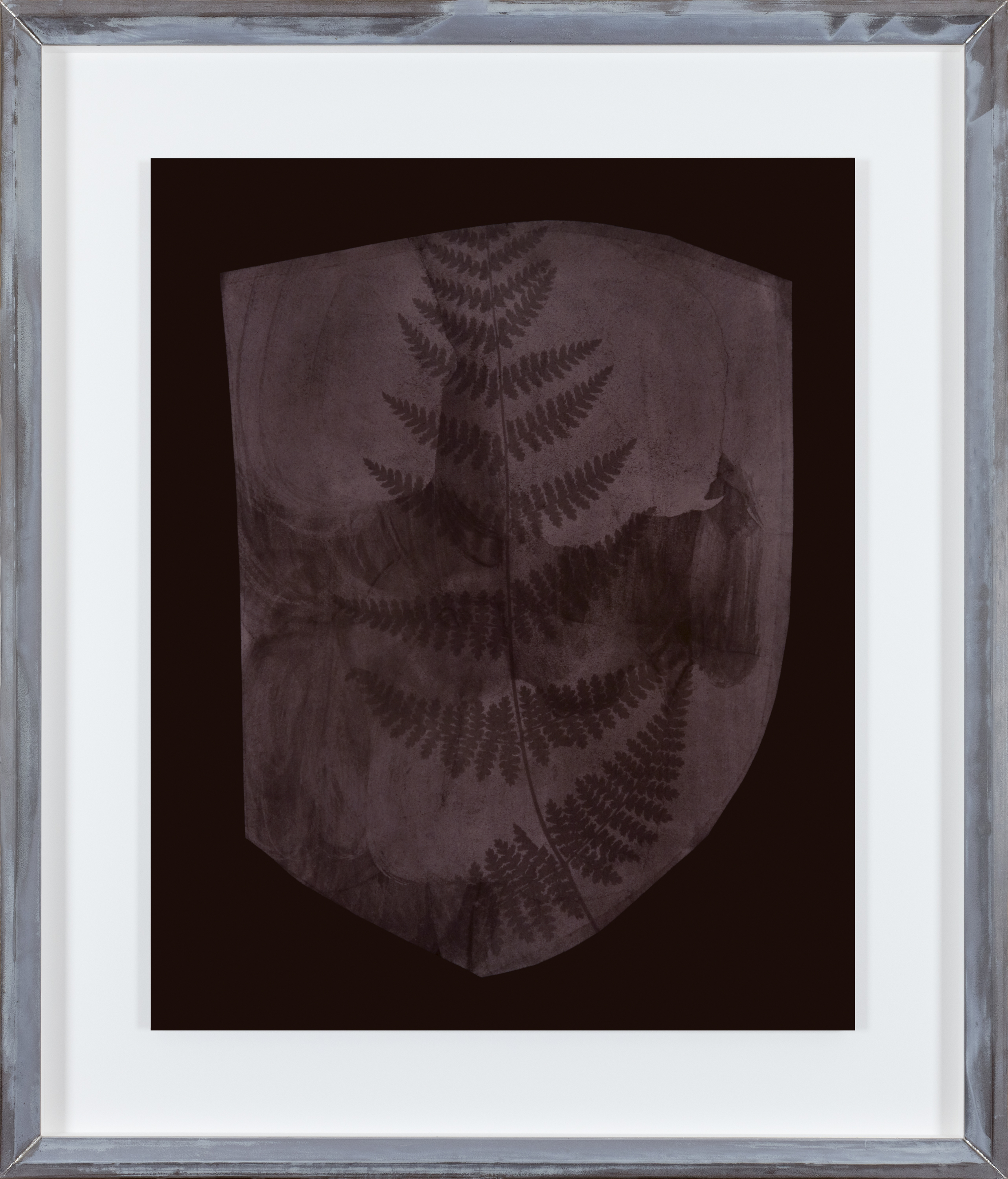Color photograph of a sepia toned leaves with a black background in an aluminum frame