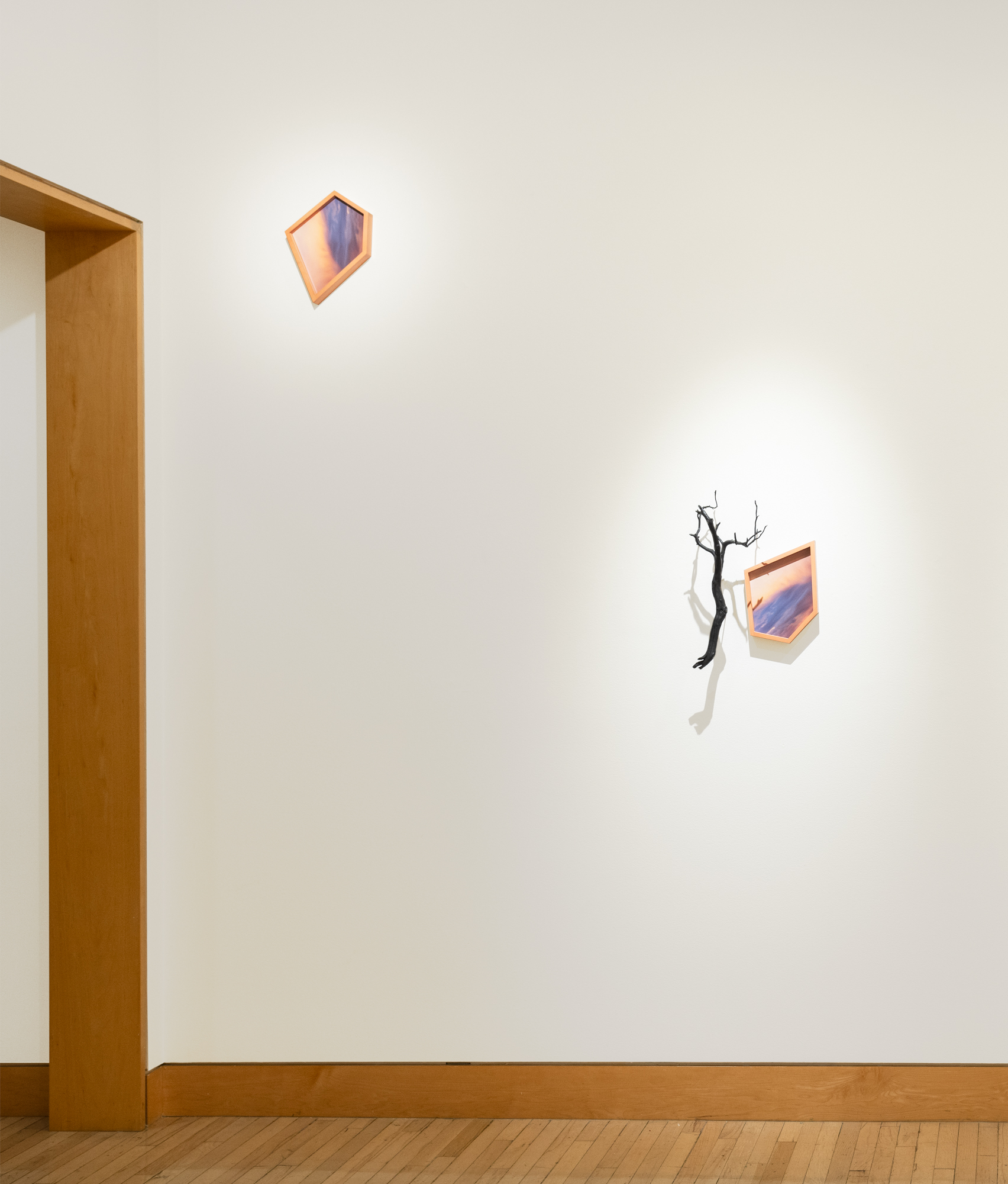 Installation shot of a sculptural work including two framed color photographs and a bronze branch