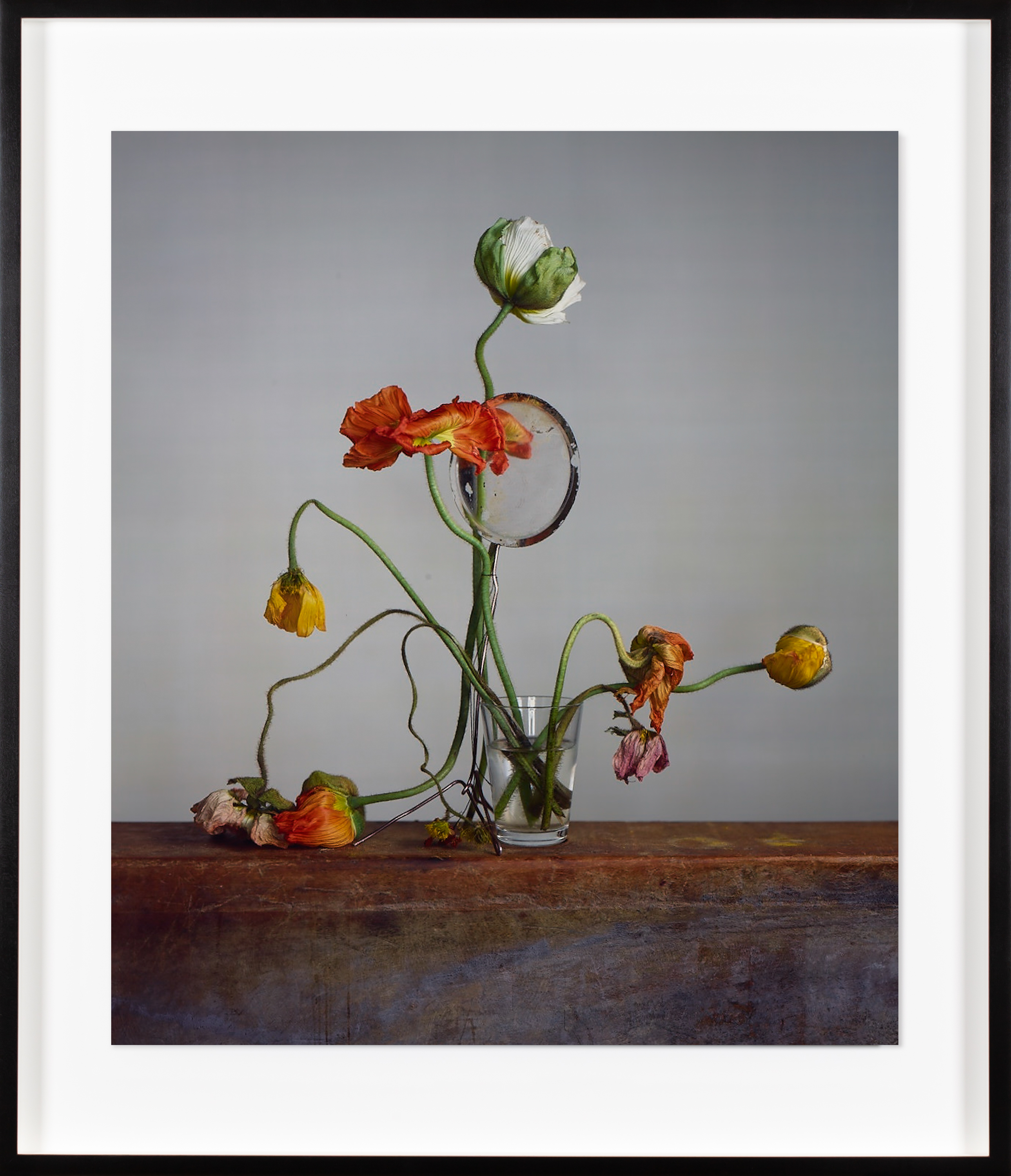 Color photograph of several flowers in states of decay in a small glass on a wooden pedestal framed in black