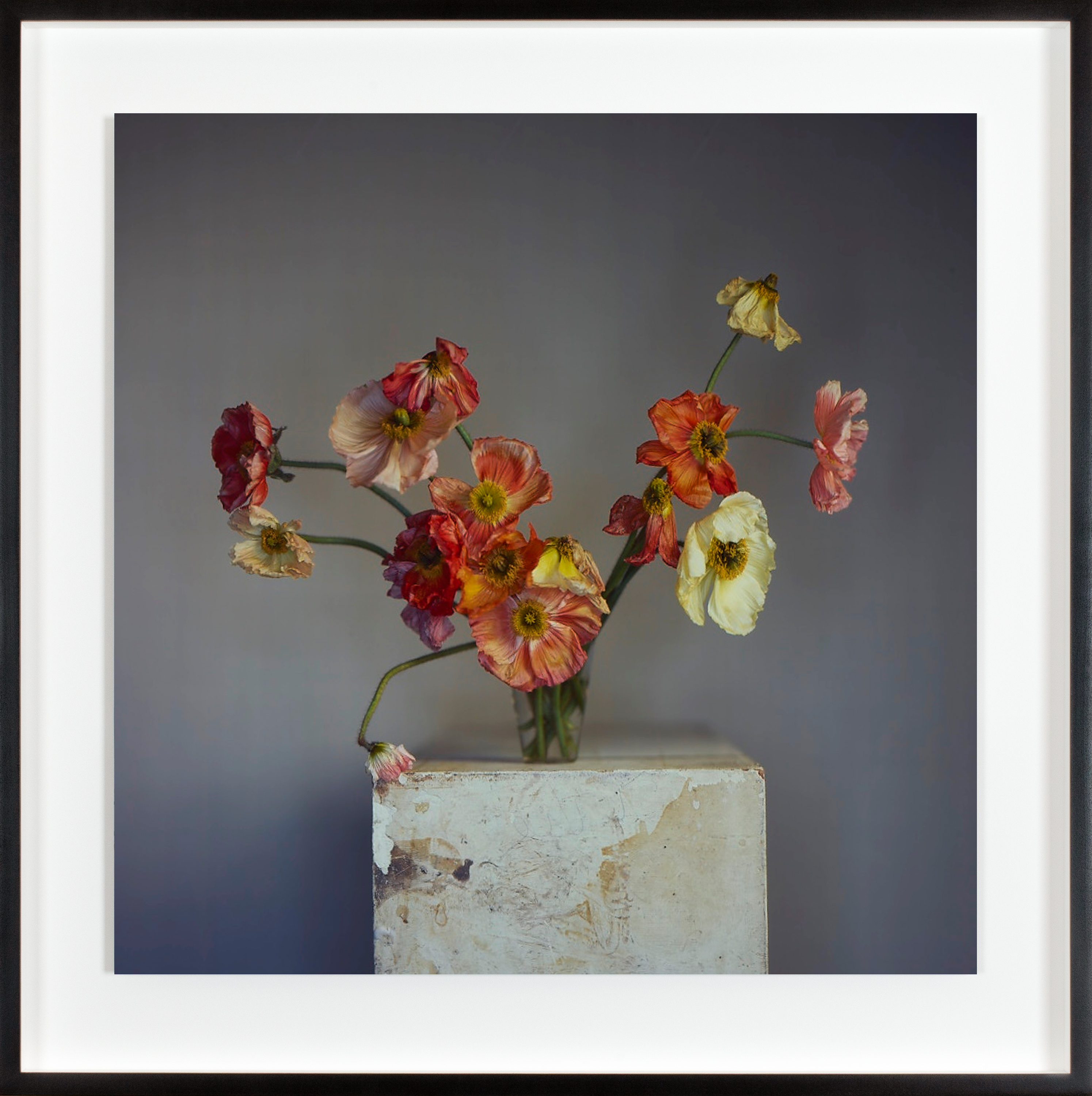 Color photograph depicting several decaying flowers in a small glass on a marble pedestal framed in black