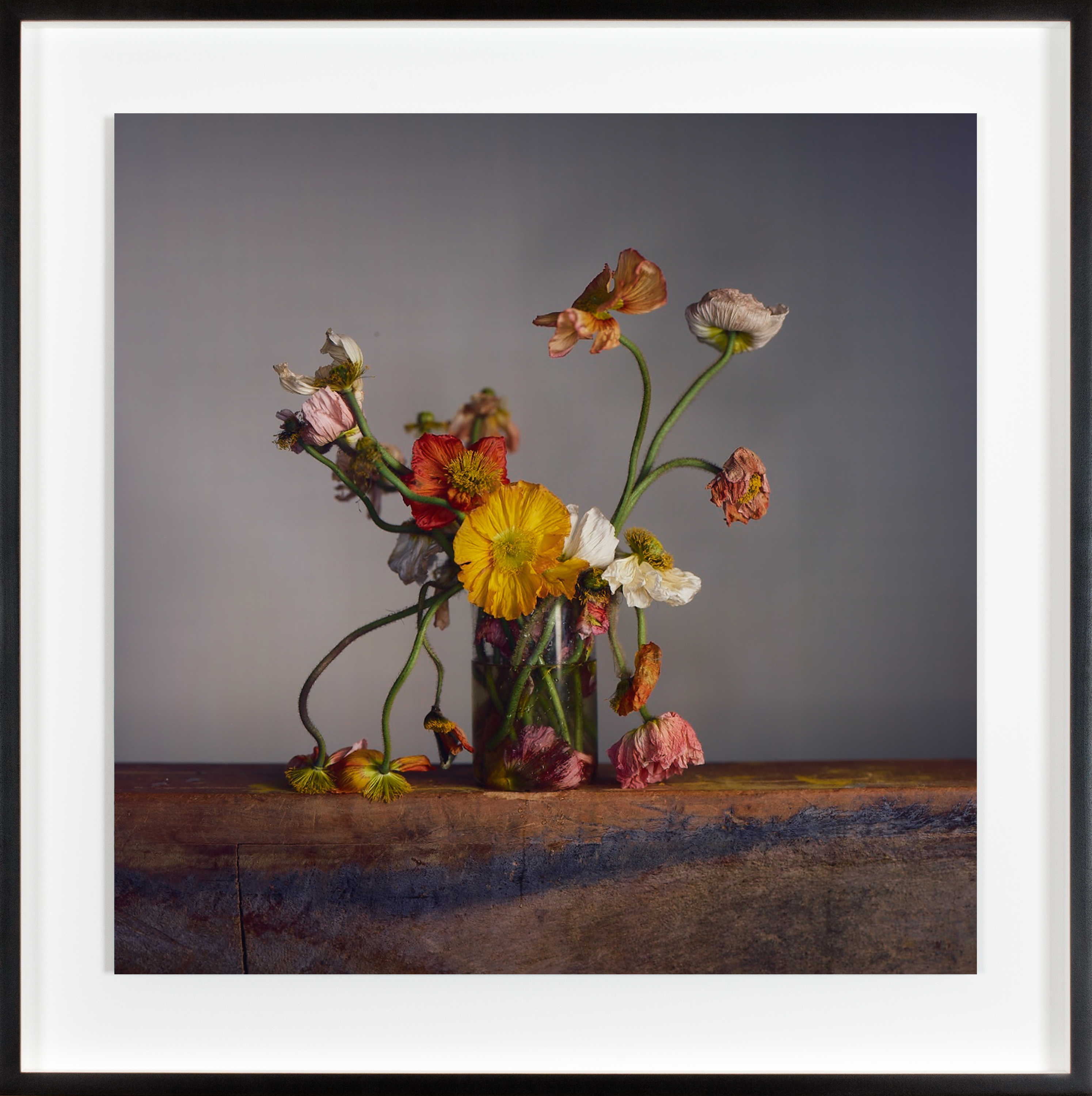 Color photograph of multiple flowers in a glass vase at various stages of decay on wooden plinth framed in black