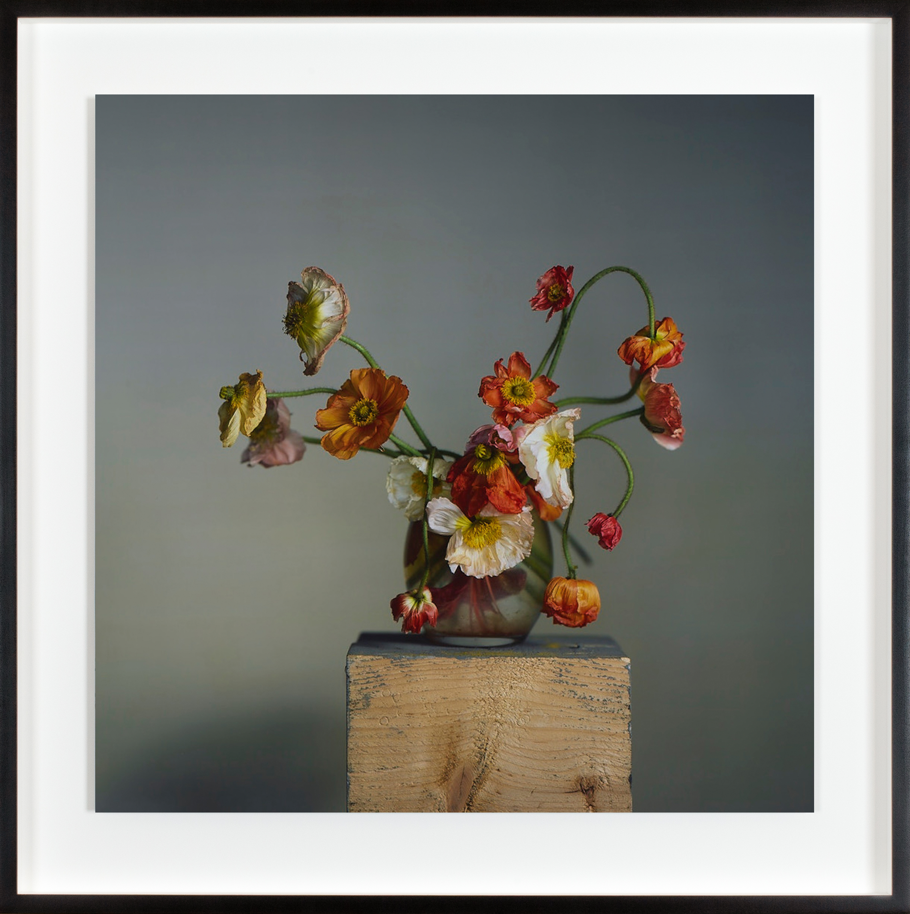 Color photograph of flowers at various stages of decay in a glass vase on a wooden plinth
