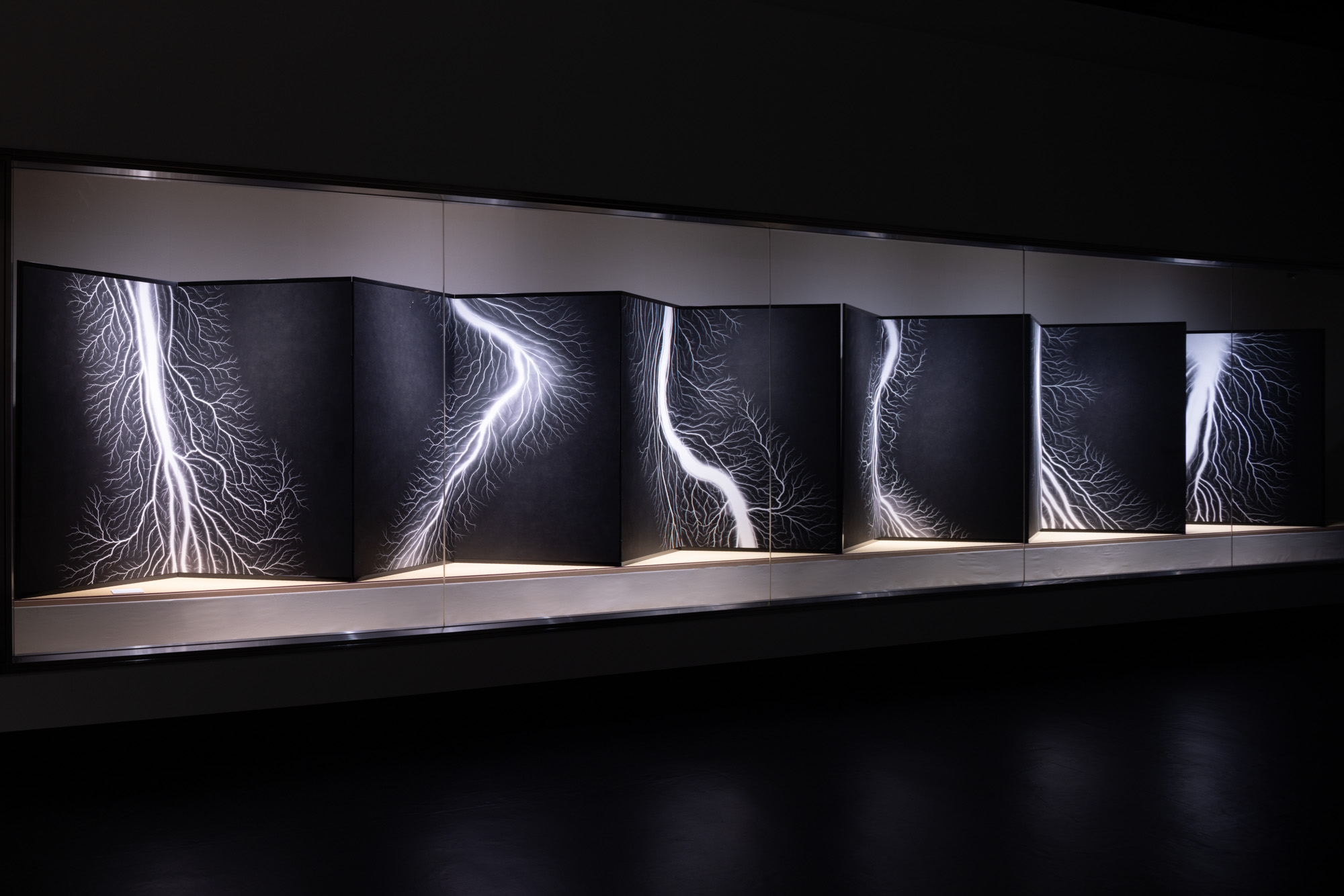 Color image of an installation of a folding screen with black and white photographs of lighting striking