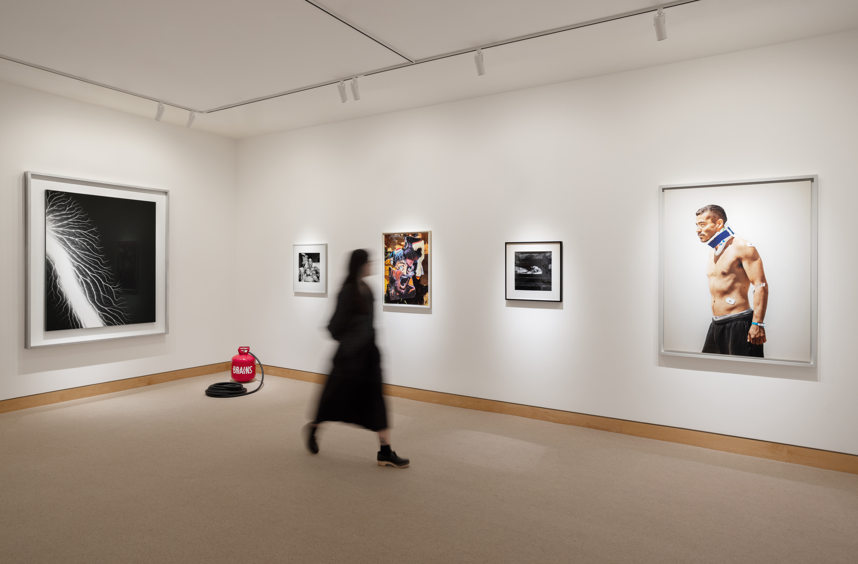 Color image of an exhibition with artworks in a range of different mediums