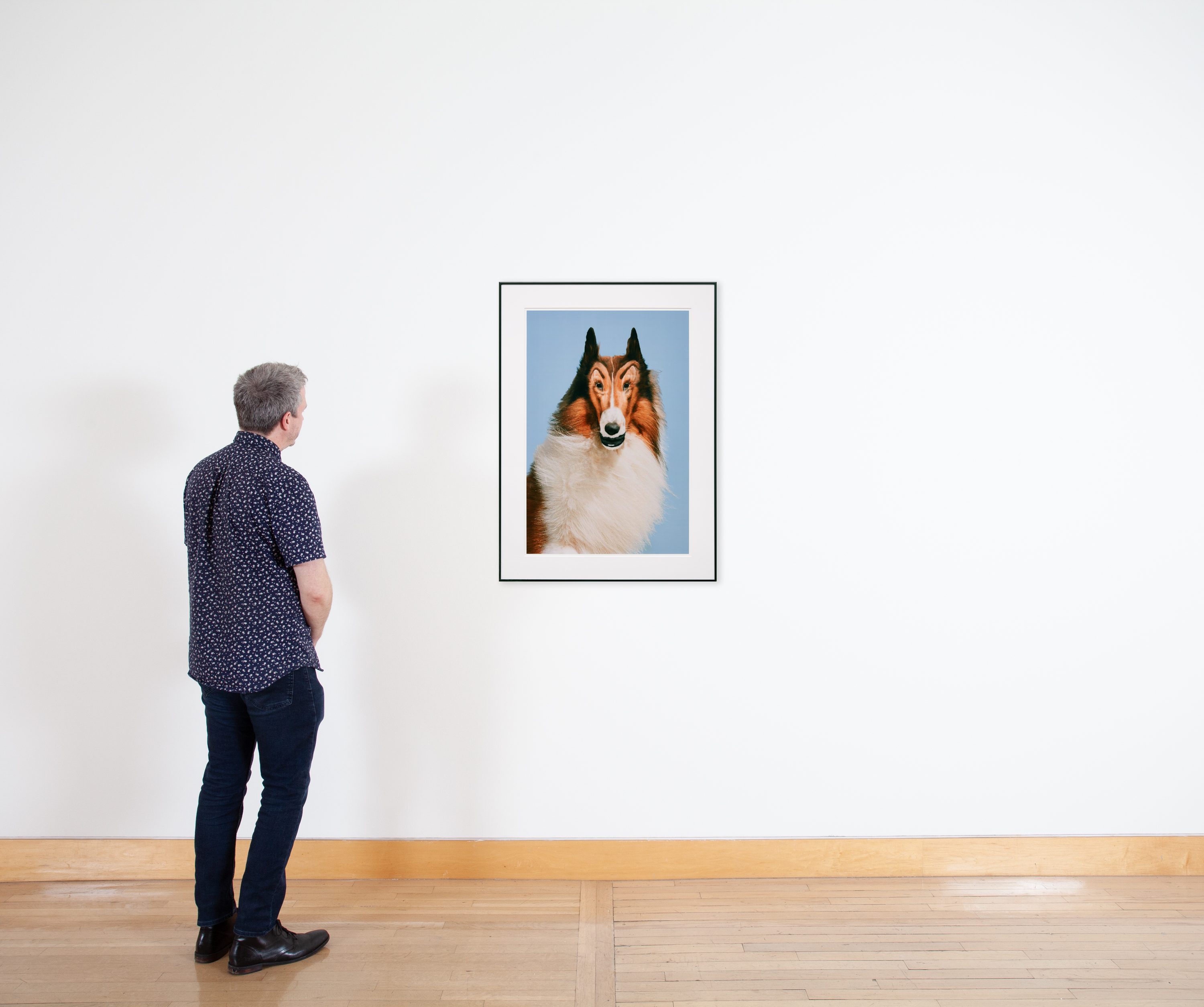 Color image of a figure looking at a color photograph of an altered image of a dog portrait in front of a blue background framed in black on a white wall
