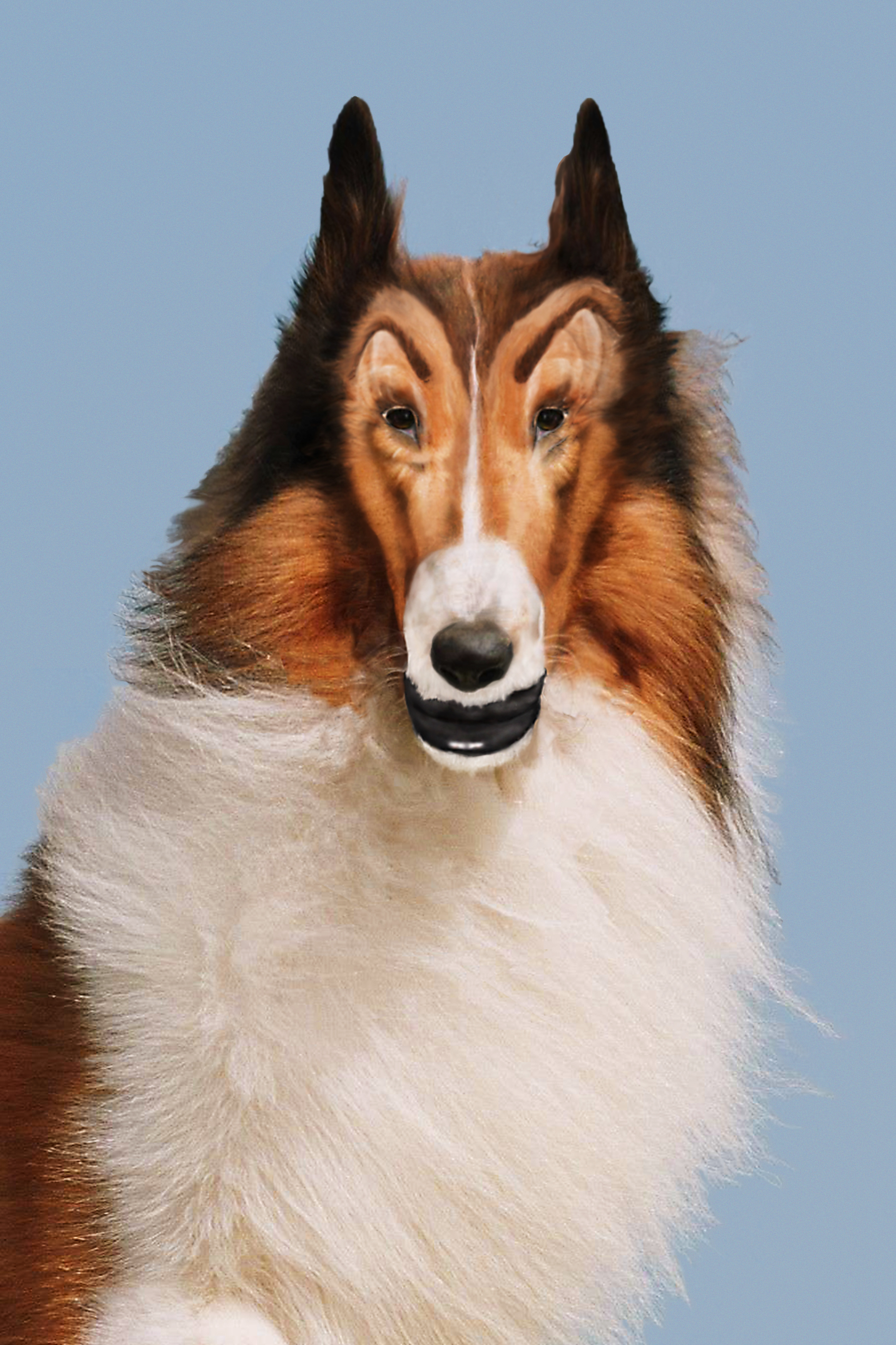 Color photograph of an altered image of a dog portrait in front of blue background