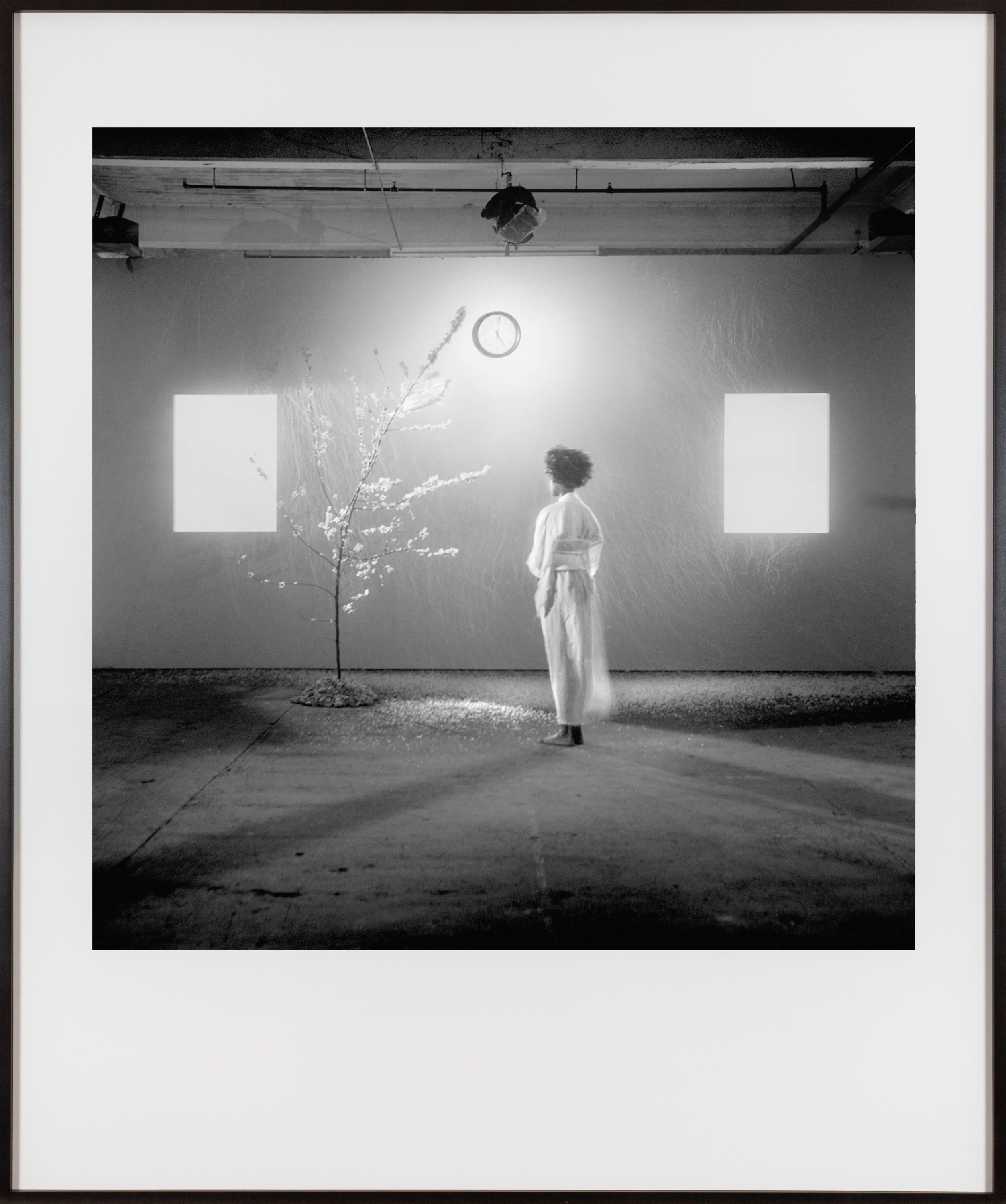 Black and white photograph of a women turned away from the camera gazing at a wilting tree in a studio framed in black