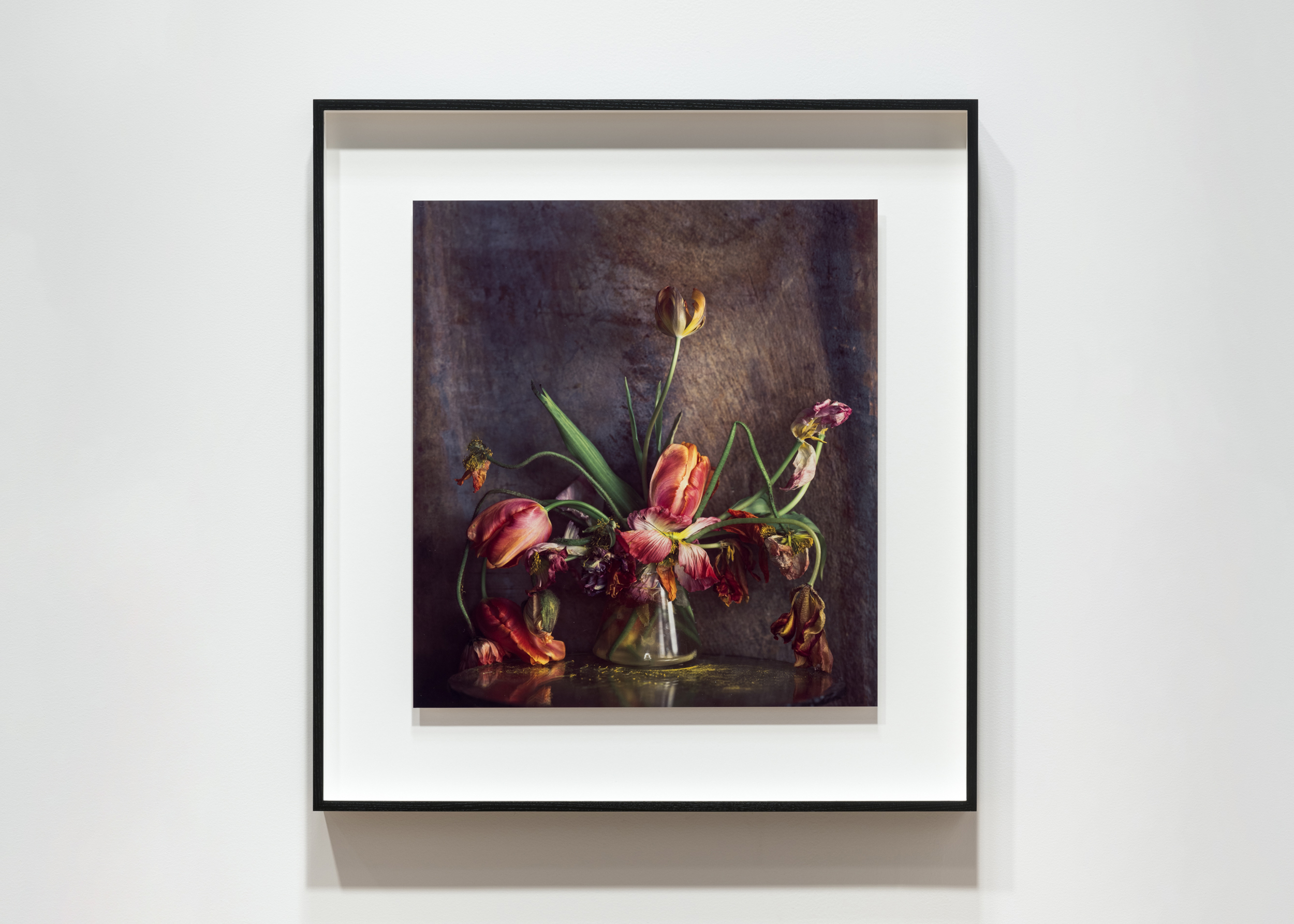 Color image of a color photograph depicting flowers in various states of decay in a glass vase framed in black on a white wall
