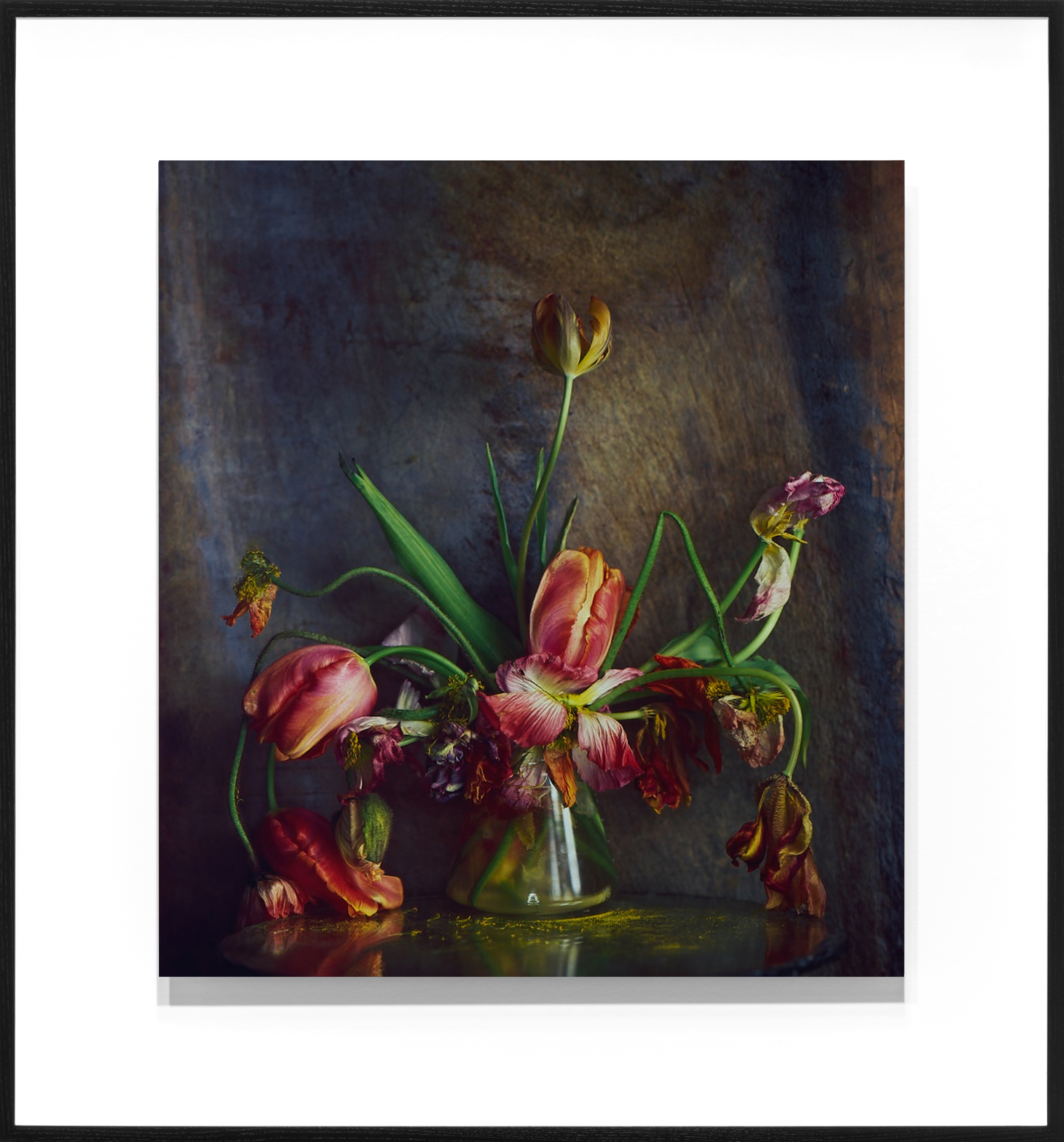 Color photograph of a bouquet of poppies and tulips in various stages of decay in a glass vase framed in black