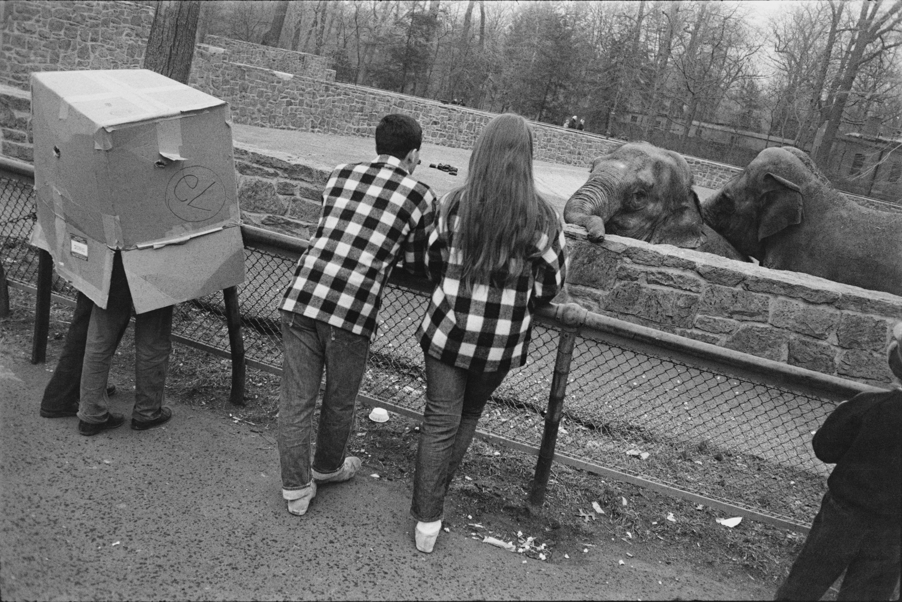 Black and white photograph of several figures looking at two elephants in captivity in a zoo