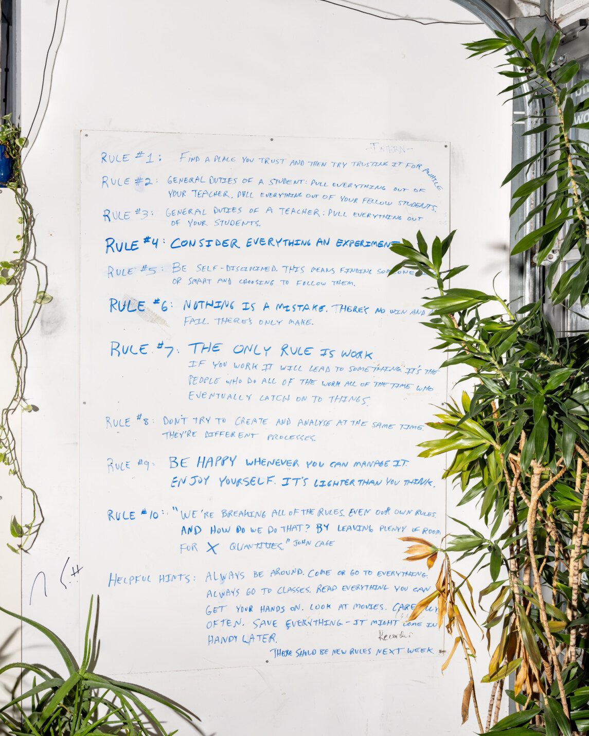 Alec Soth: Advice For Young Artists (50 x 40